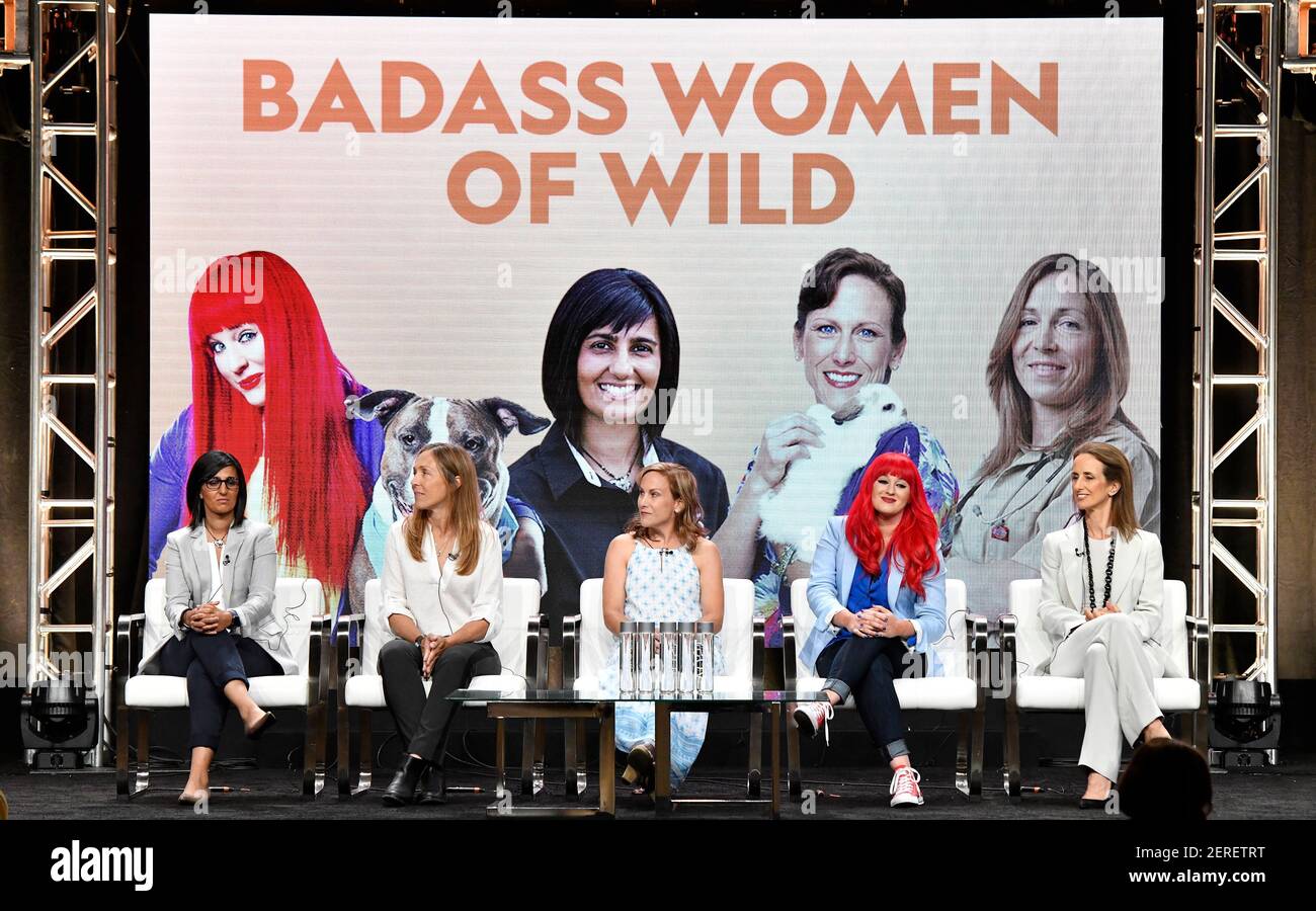 hobby interference Spectacular BEVERLY HILLS - JULY 25: (L-R) Veterinarians Dr. Priya Bapodra, Dr. Michelle  Oakley and Dr. Susan Kelleher, Dogtographer Kaylee Greer and Executive  Producer Ashley Hoppin attend the panel for National Geographic's "BADASS