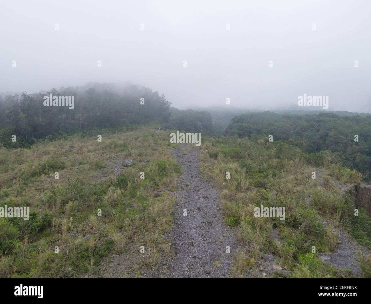 Misty foggy mountain landscape with fir forest in Merapi Mount ...