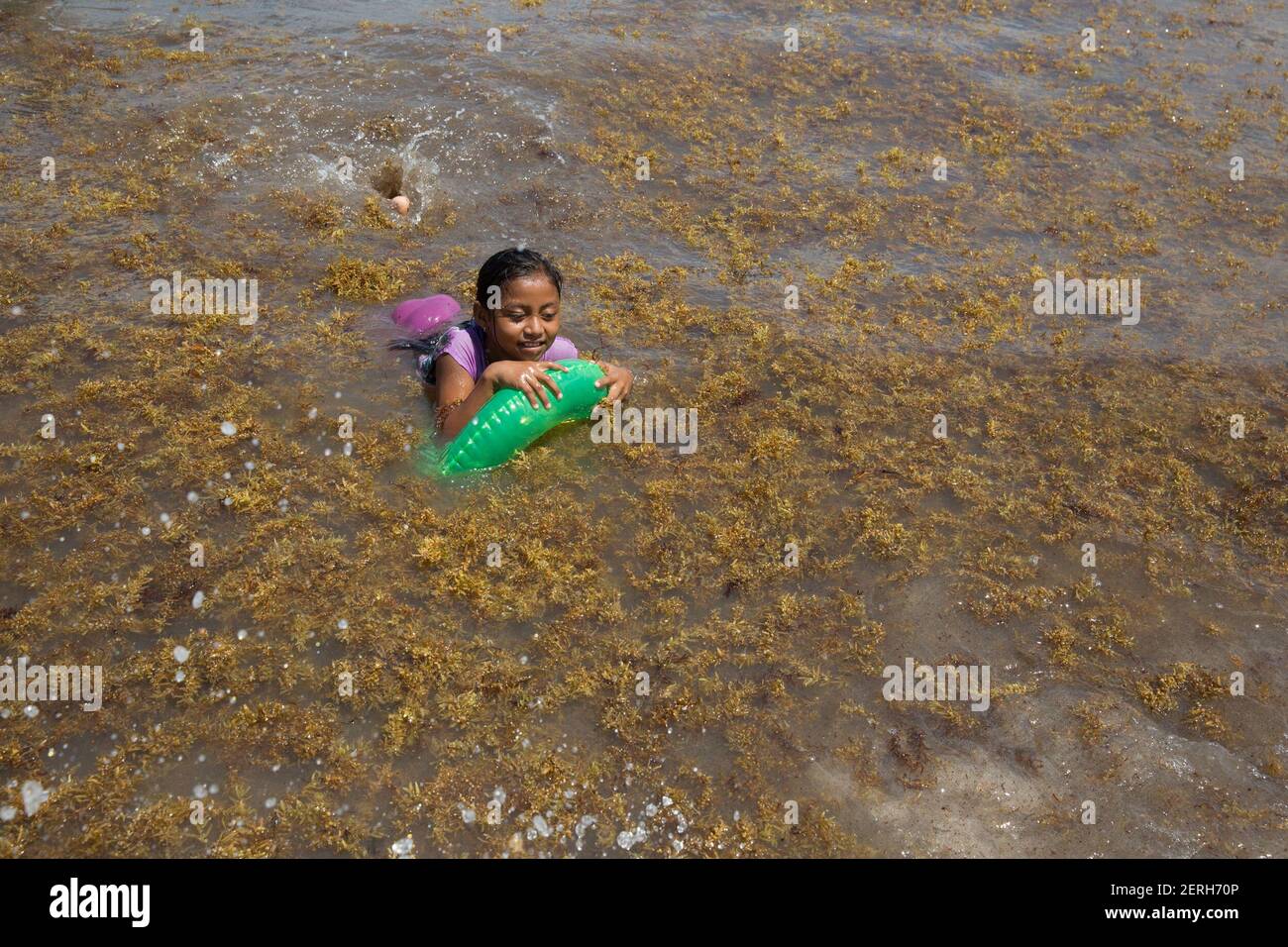 A young girl swims on a beach full of Sargassum seaweed in Mamitas Beach in Playa del Carmen, Quintana Roo state, Mexico on August 19, 2018. Sargassum—a brown seaweed that lives in the open ocean—has overwhelmed shorelines along the East Coast of the United States, Gulf of Mexico, and the Caribbean. Researchers say that the Sargassum outbreak started in 2011, but it has become worse over the years and could cause a serious environmental disaster. As the Sargassum is cleaned up on the shorelines, in a matter of days the shorelines are once again filled. When the Sargassum seaweed lands and star Stock Photo