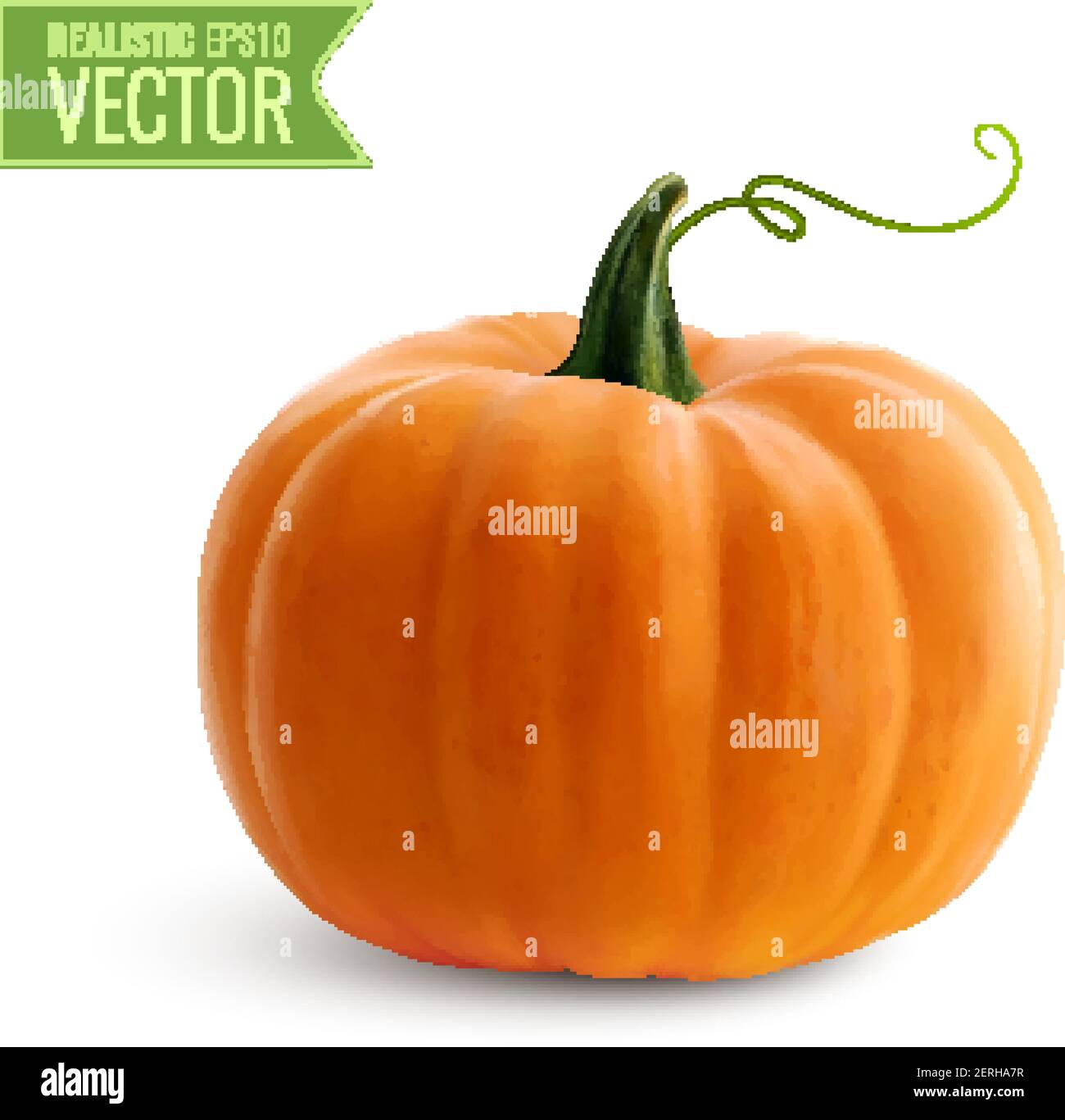 Realistic orange pumpkin icon on white background for decoration halloween or thanksgiving day holidays vector illustration Stock Vector