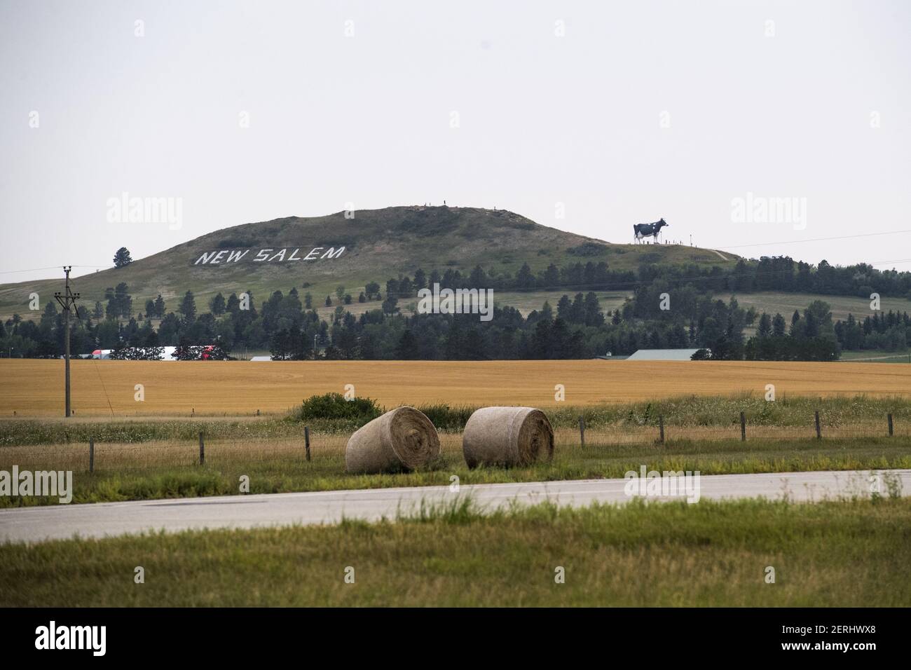 UNITED STATES AUGUST 17 A model cow, Salem Sue, is seen off I94