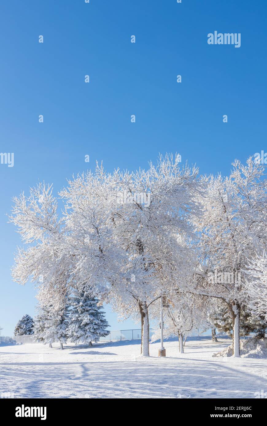 Residential neighborhood after the snowstorm in the clear weather