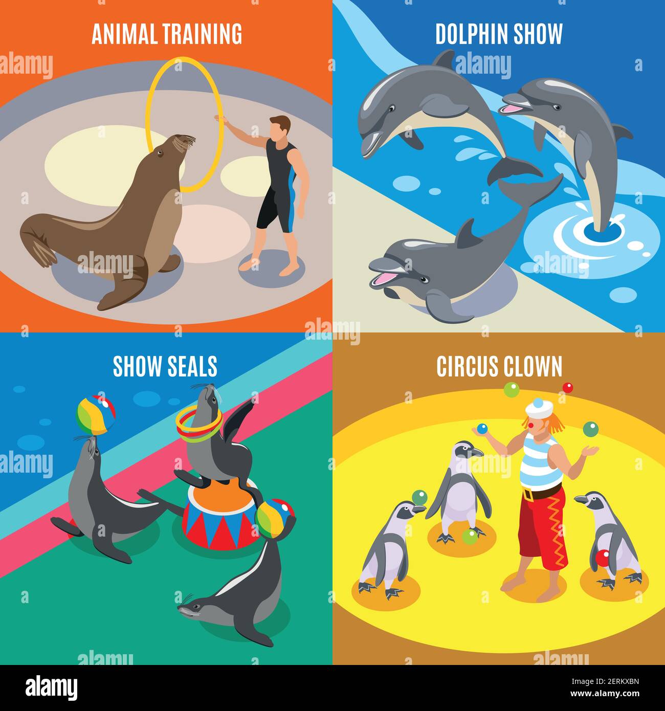 Spectacle Circus Seals Spectacle Circus Seals