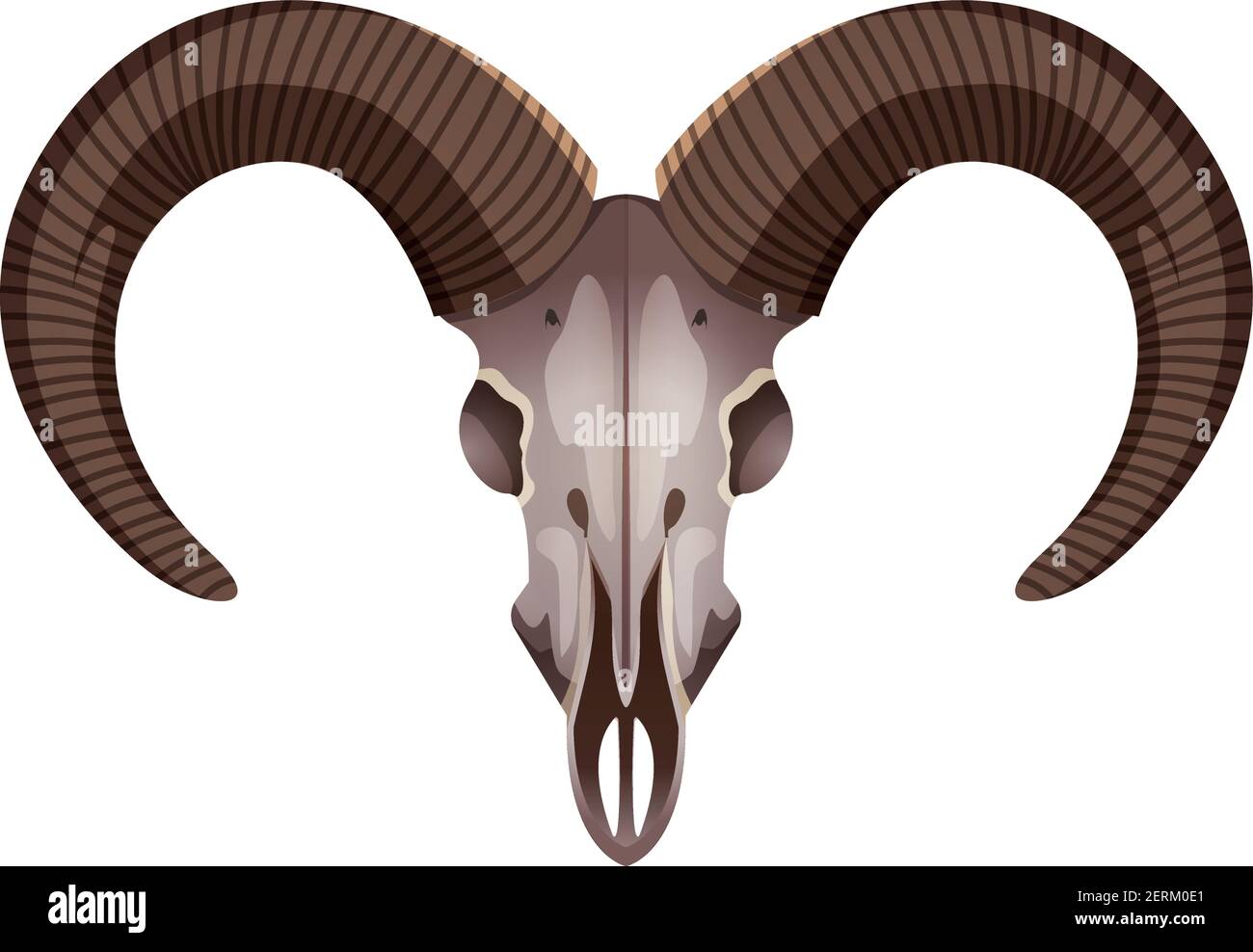 Wild life animals decorative element of mountain goat skull with horns closeup image white background vector illustration Stock Vector Image & Art - Alamy Wild life animals decorative element of mountain goat skull with horns closeup image white background vector illustration Stock Vector Image & Art - Alamy