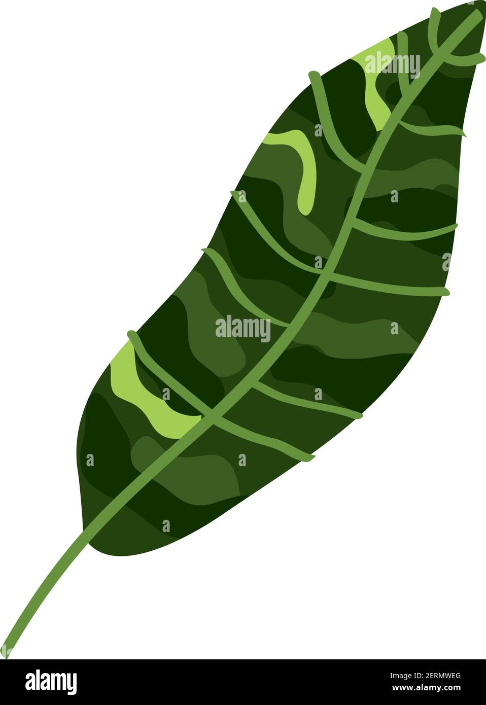 exotic leaf plant tropical icon Stock Vector Image & Art - Alamy