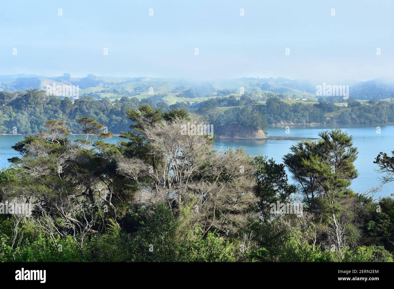 Morning mist disappearing from above calm waters of Mahurangi Harbour growing in bays along harbour bays. Stock Photo