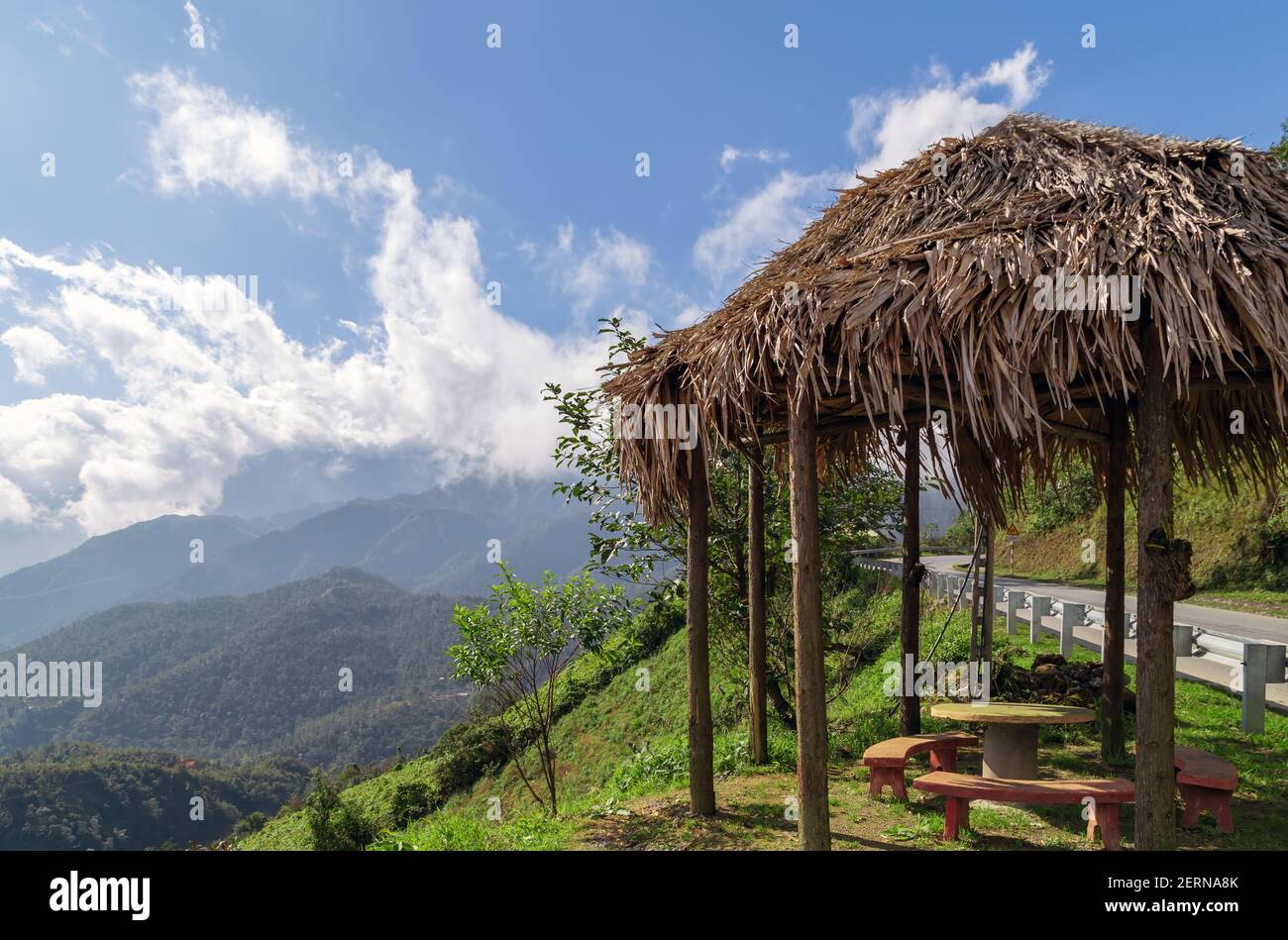 Gazebo Wooden. Pergola terrace in of bamboo under palm trees. Nature
