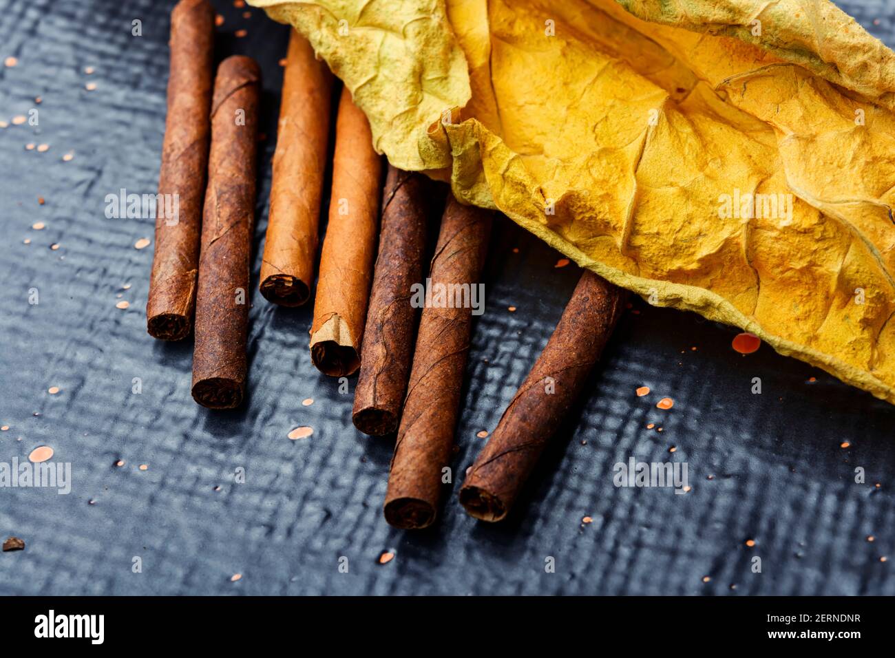 cigarette wrapped in leaf Tobacco leaf wrapped hi-res stock photography and images