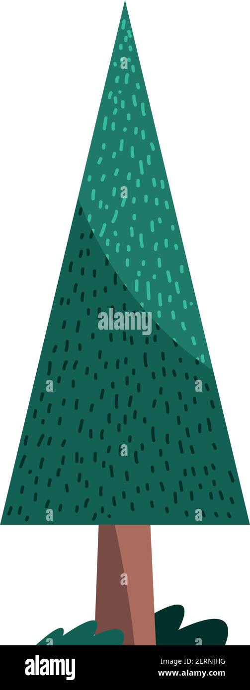 pine tree plant nature isolated icon vector illustration design Stock ...