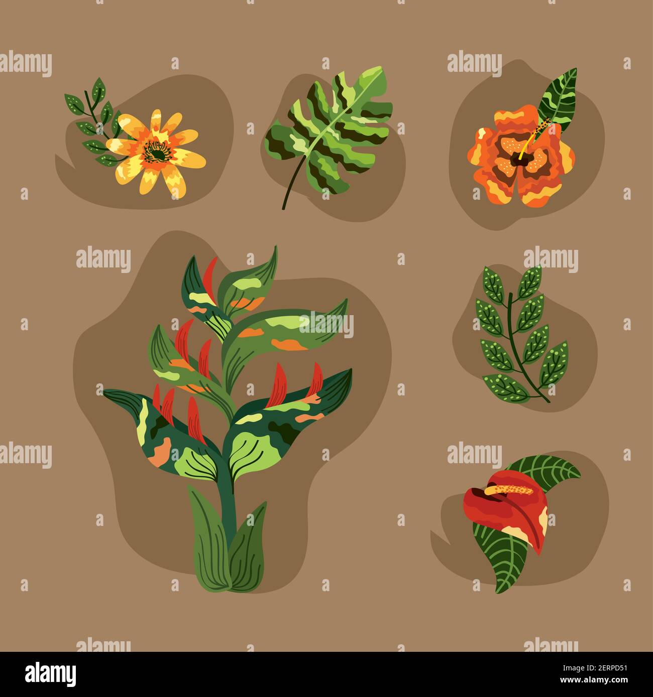 tropical flowers and leafs exotic Stock Vector Image & Art - Alamy
