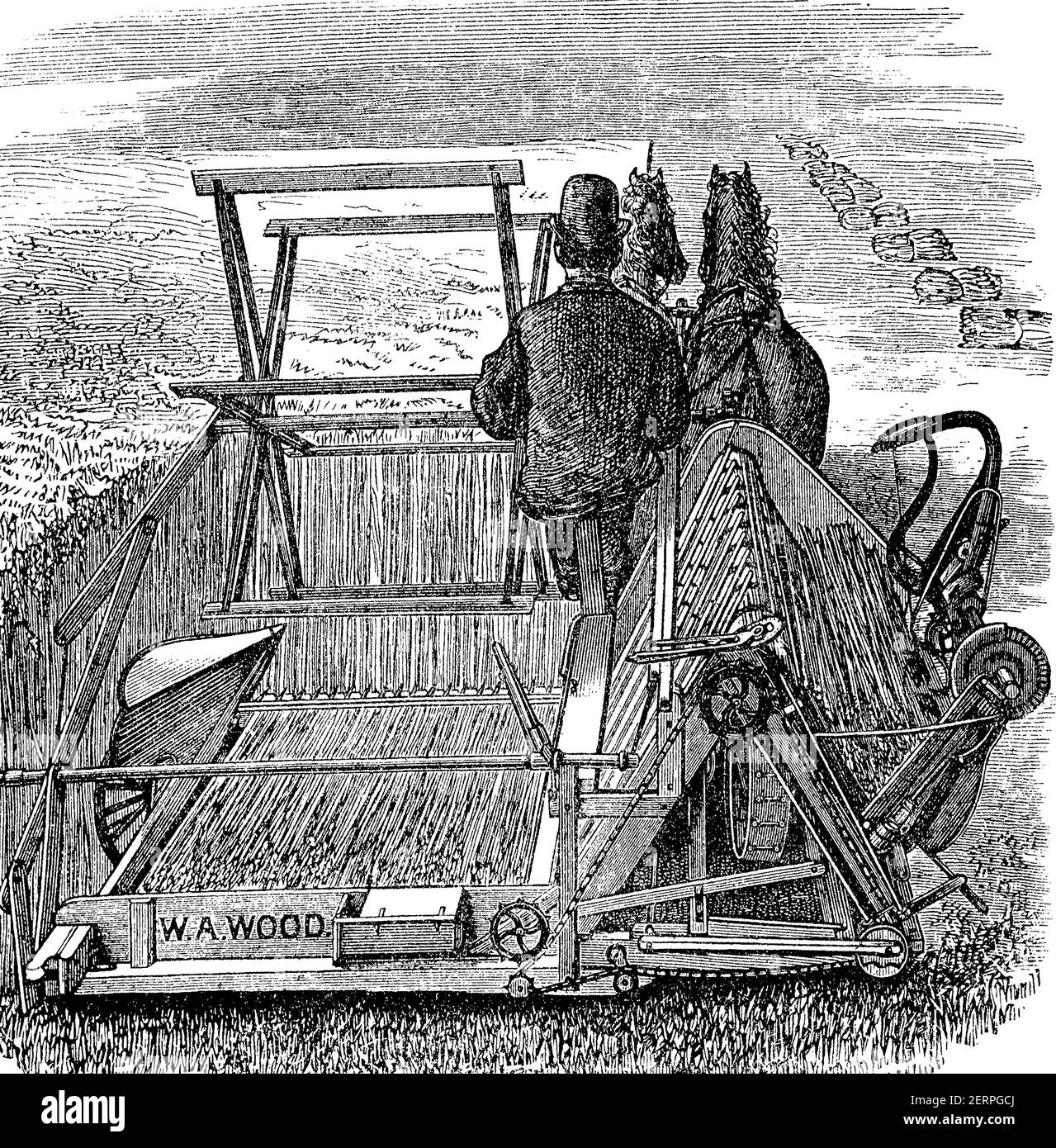 Sheaf binder Black and White Stock Photos & Images Alamy