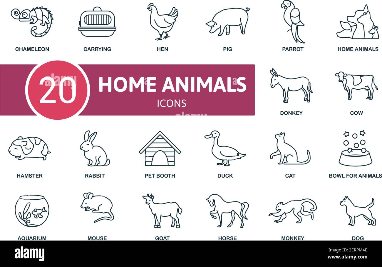Domectic Animals icon set. Contains editable icons domectic animals ...