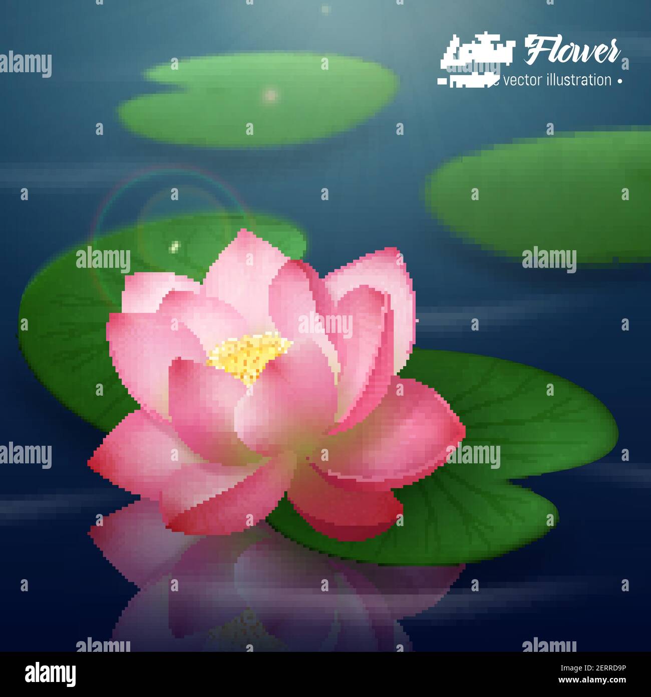 Pink Lotus Flower With Two Wide Disc Shaped Leaves Floating On Water Realistic Background Poster Vector Illustration Stock Vector Image Art Alamy