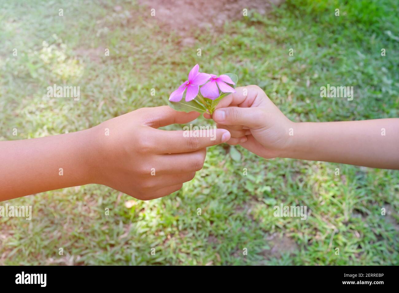 Giving flowers hires stock photography and images Alamy