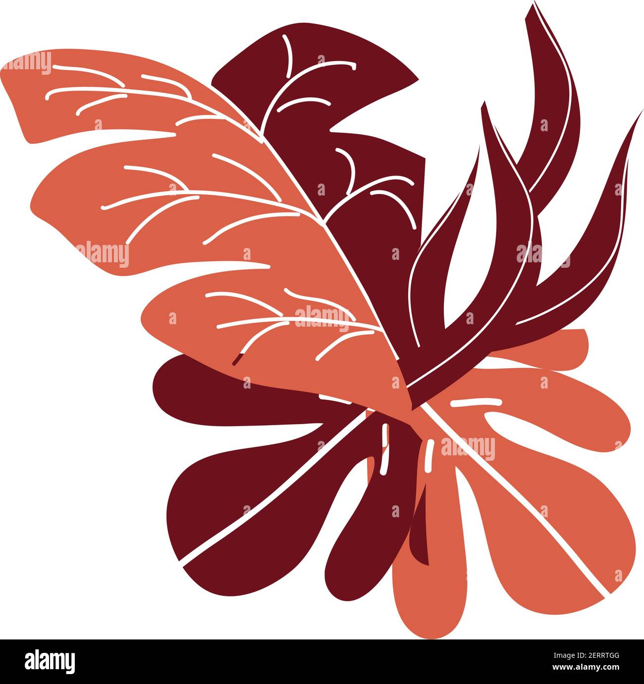 tropical leaves foliage botanical isolated Stock Vector Image & Art - Alamy