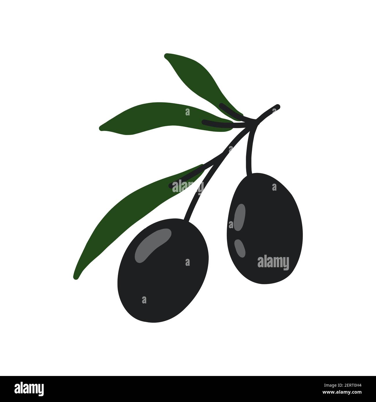 Olive branches. Hand drawn illustration Stock Vector Image & Art - Alamy