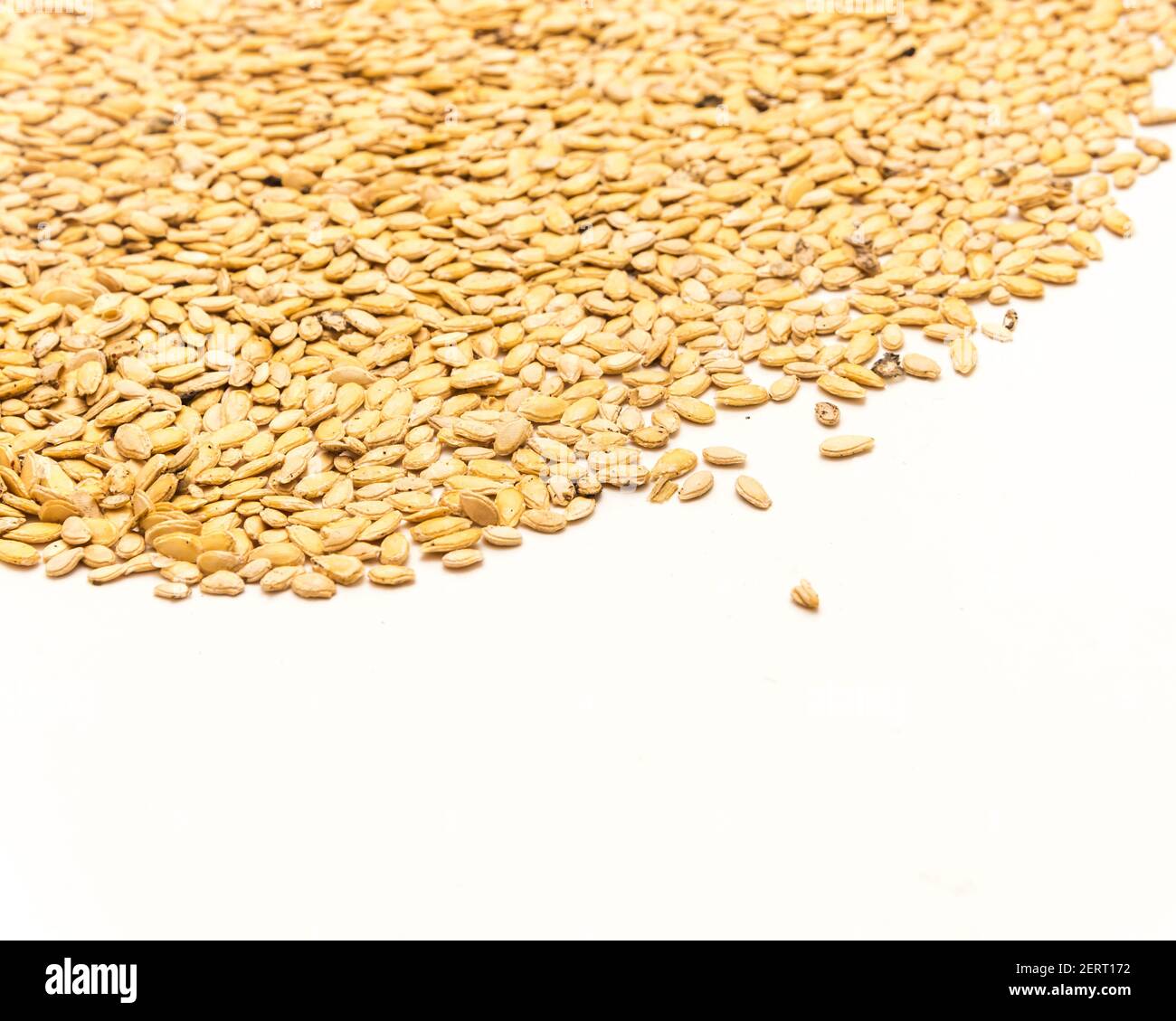 Winter melon wax gourd seeds spreading with copy space on isolated white background Stock Photo