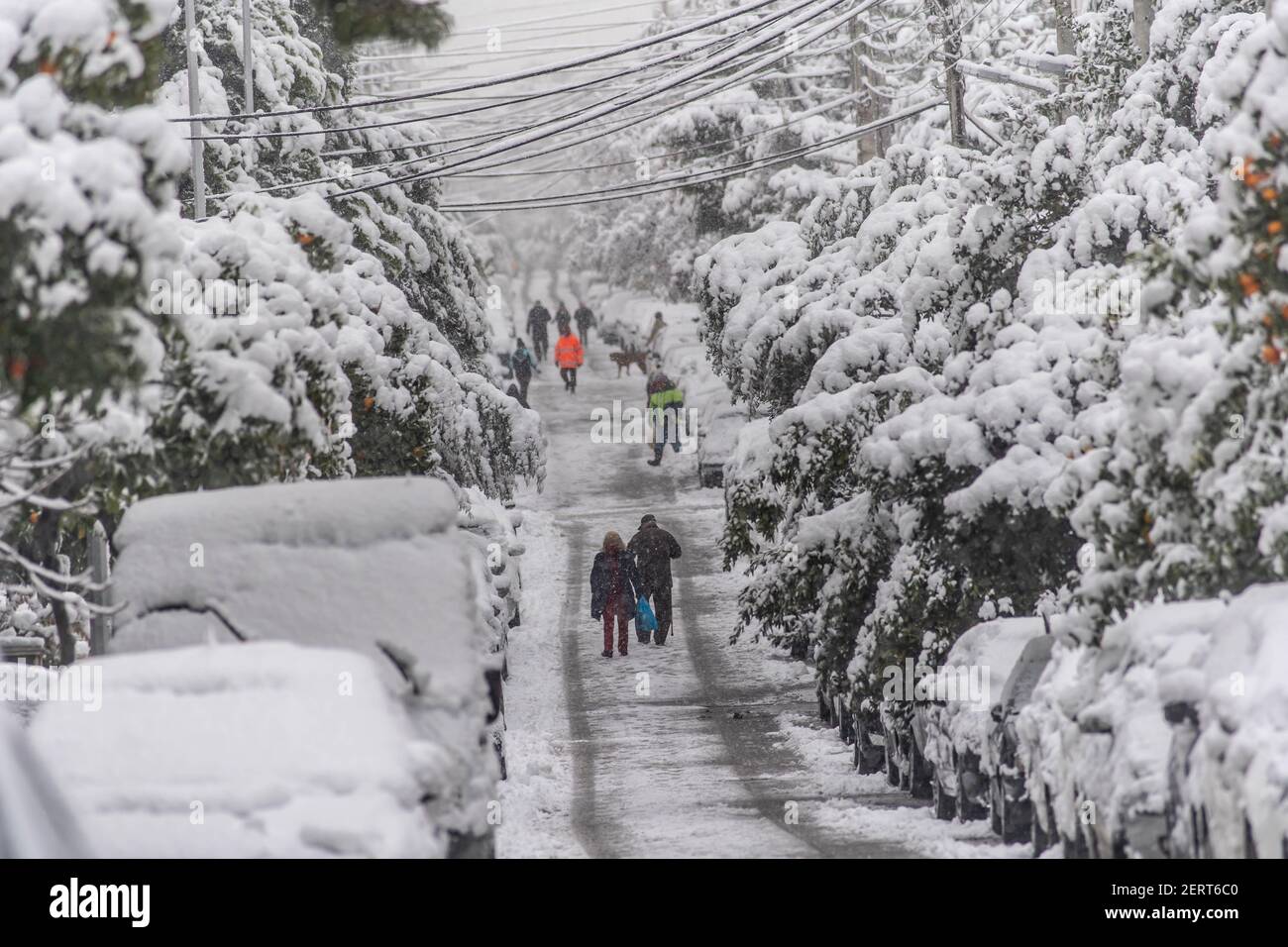 Snowstorm at Athens suburbs,Greece 2021 Stock Photo Alamy