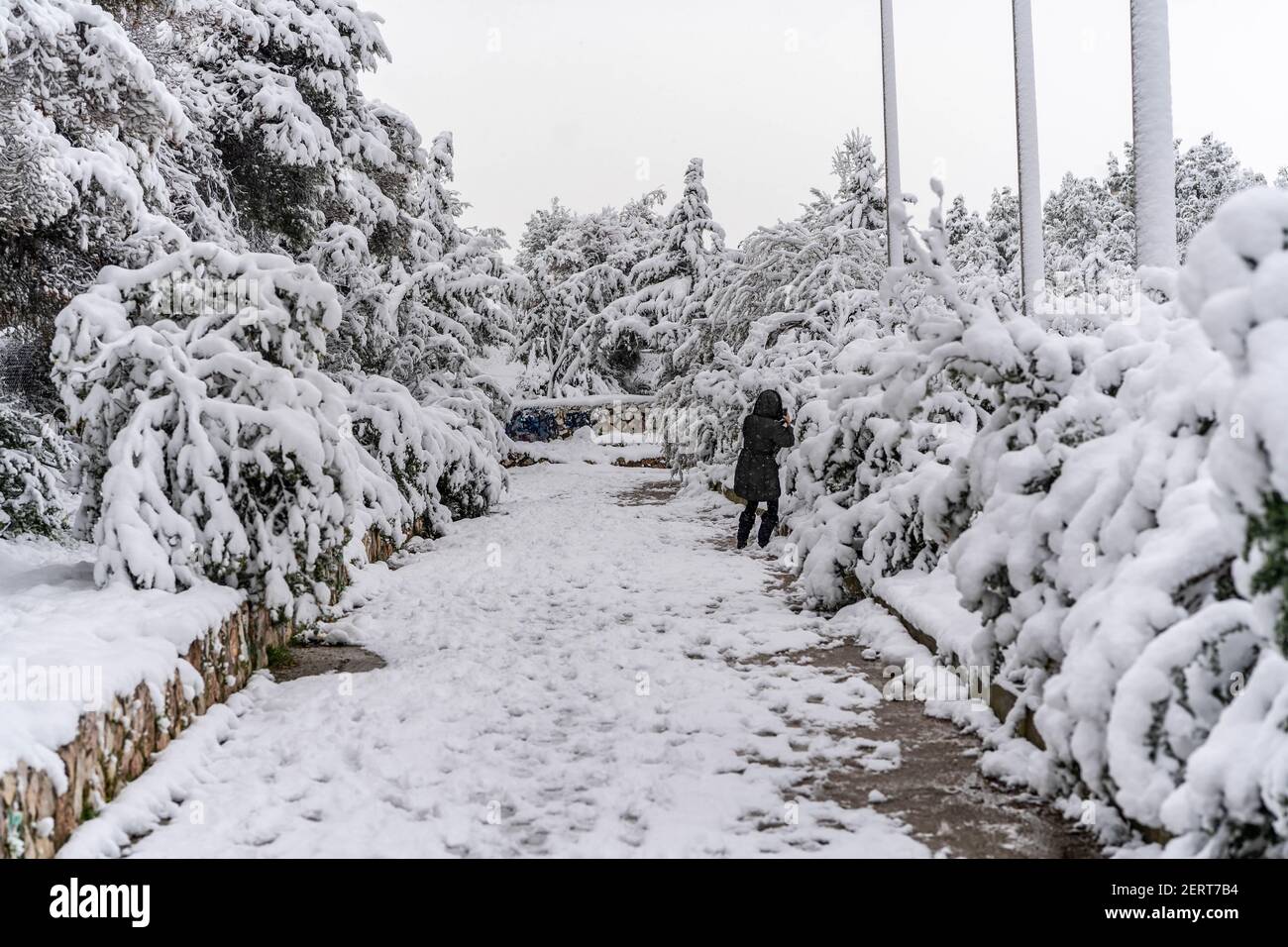 Snowstorm at Athens suburbs,Greece 2021 Stock Photo Alamy