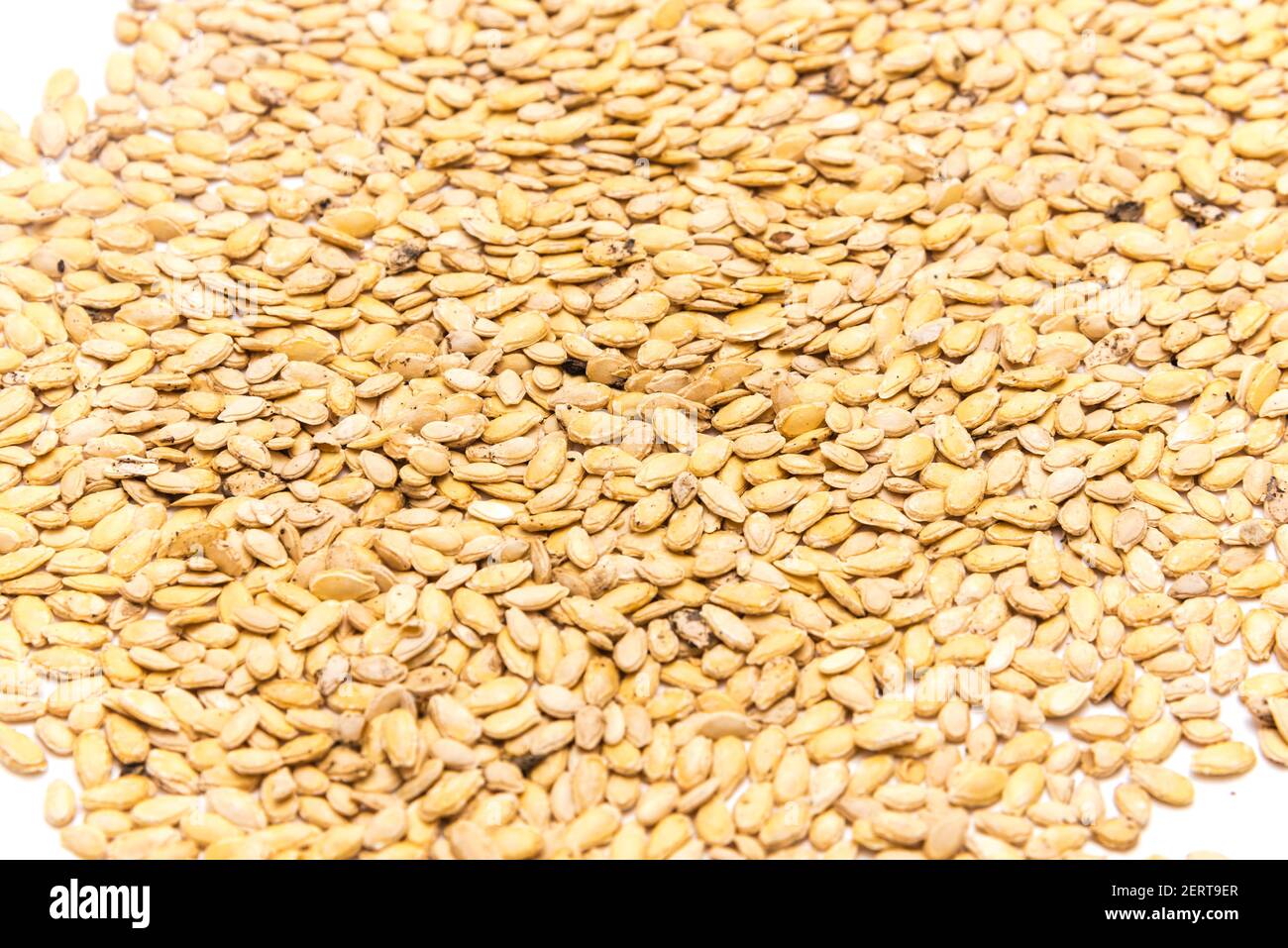 Many winter melon wax gourd seeds full frame view on isolated white background Stock Photo