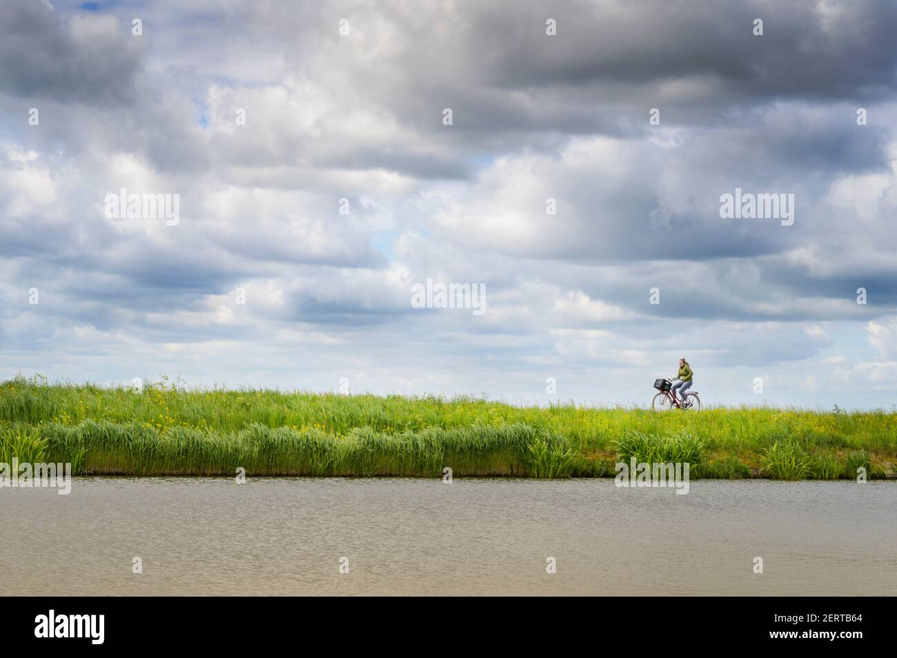 Biker driving on a dike at a Dutch river, North Holland, the Netherlands. Stock Photo