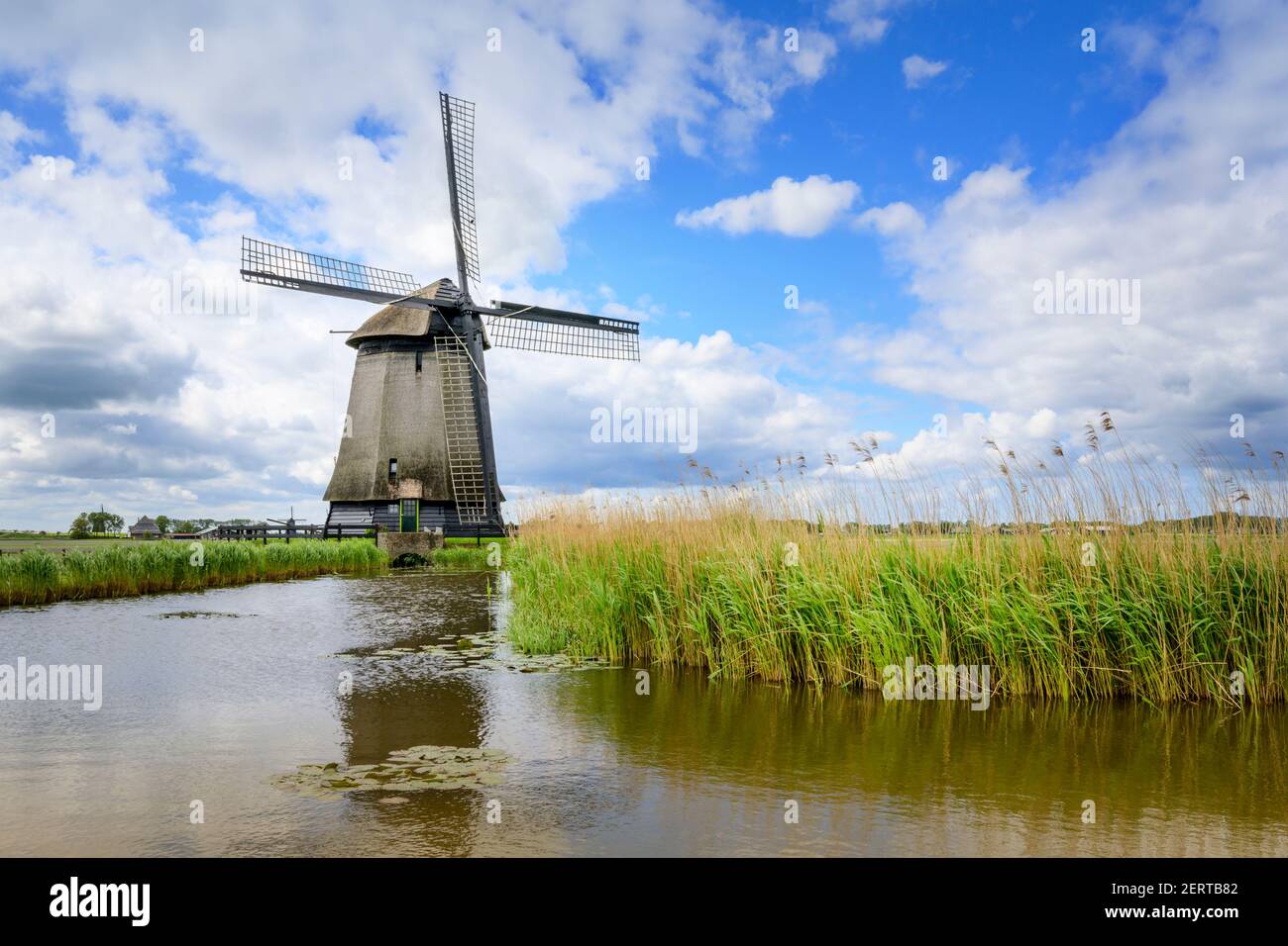 Dutch windmill with reflection in Dutch landscape, Kinderdijk, The Netherlands. Stock Photo