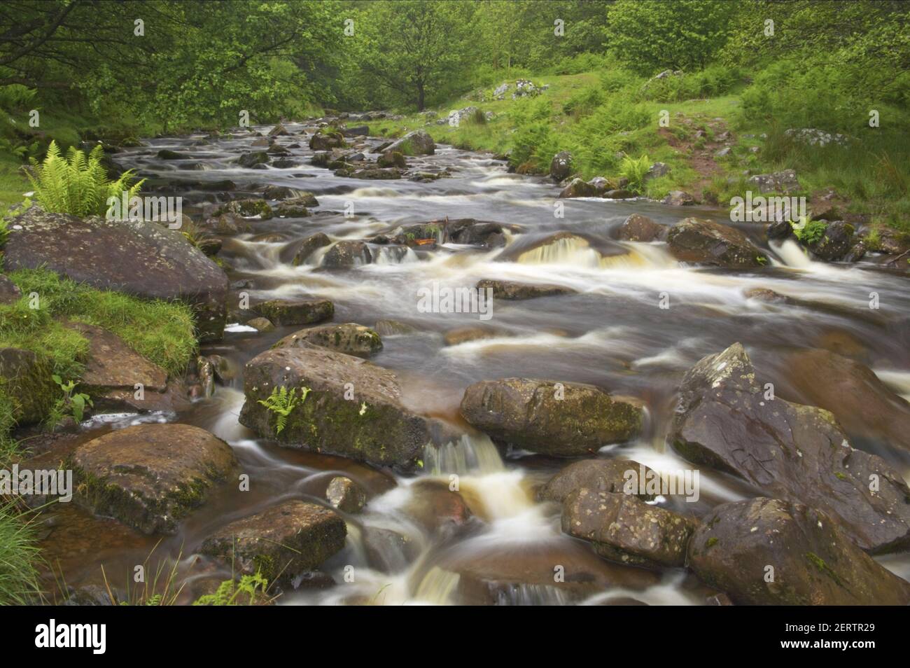 Welsh river landscape hi-res stock photography and images - Alamy