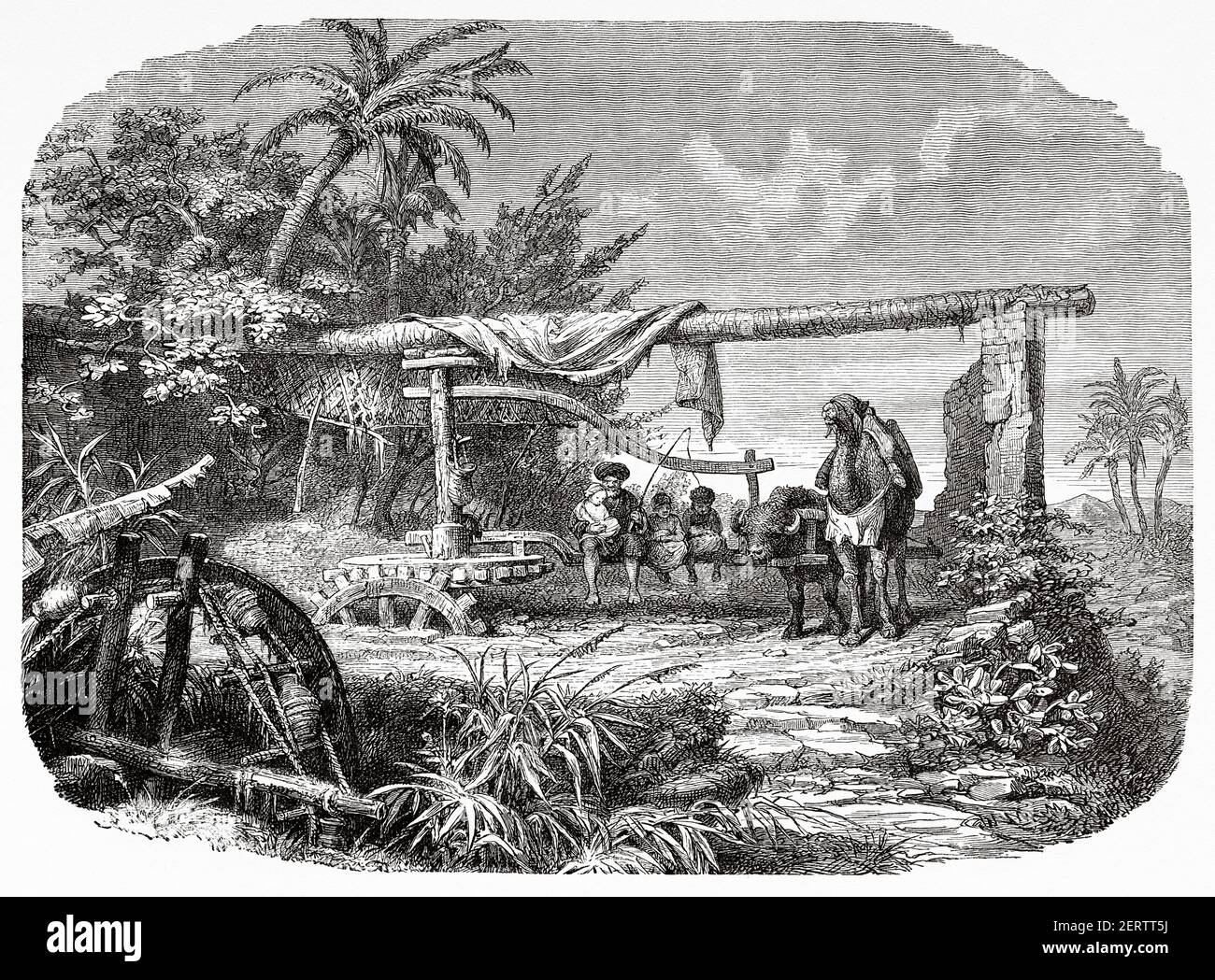 Sakkieh or Saqieh, ancient water wheel, Egypt in XIX century. Africa. Old 19th century engraved illustration, El Mundo Ilustrado 1881 Stock Photo