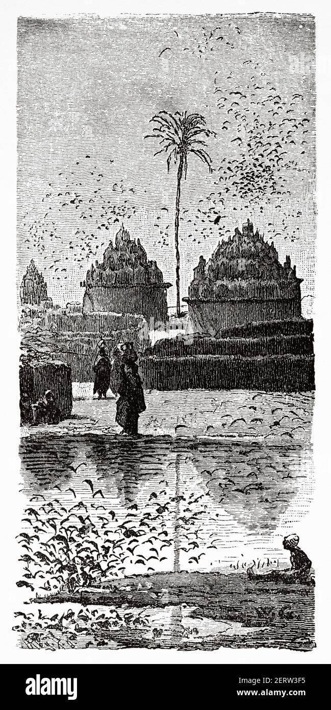 Watering hole for pigeons, Egypt 19th Century. Old XIX century engraved illustration, El Mundo Ilustrado 1880 Stock Photo
