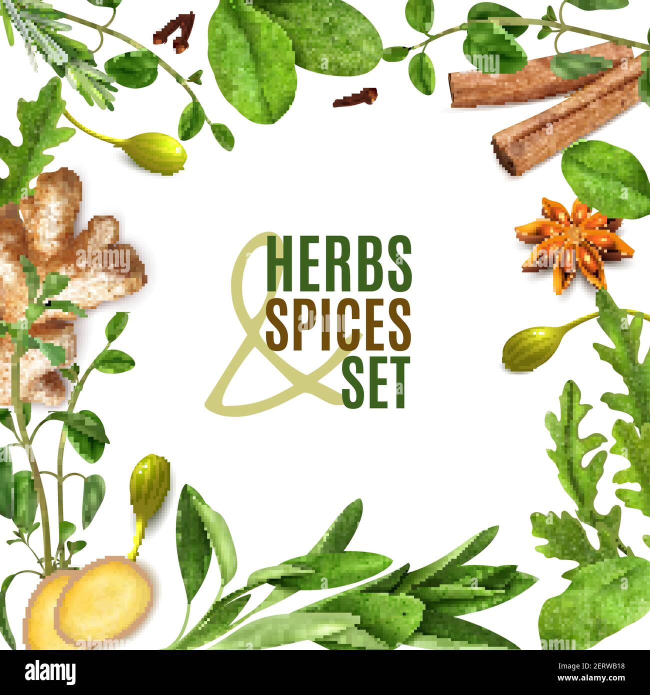 Herbs spices realistic square frame with fresh rosemary thyme rocket spinach leaves cinnamon ginger anise vector illustration Stock Vector