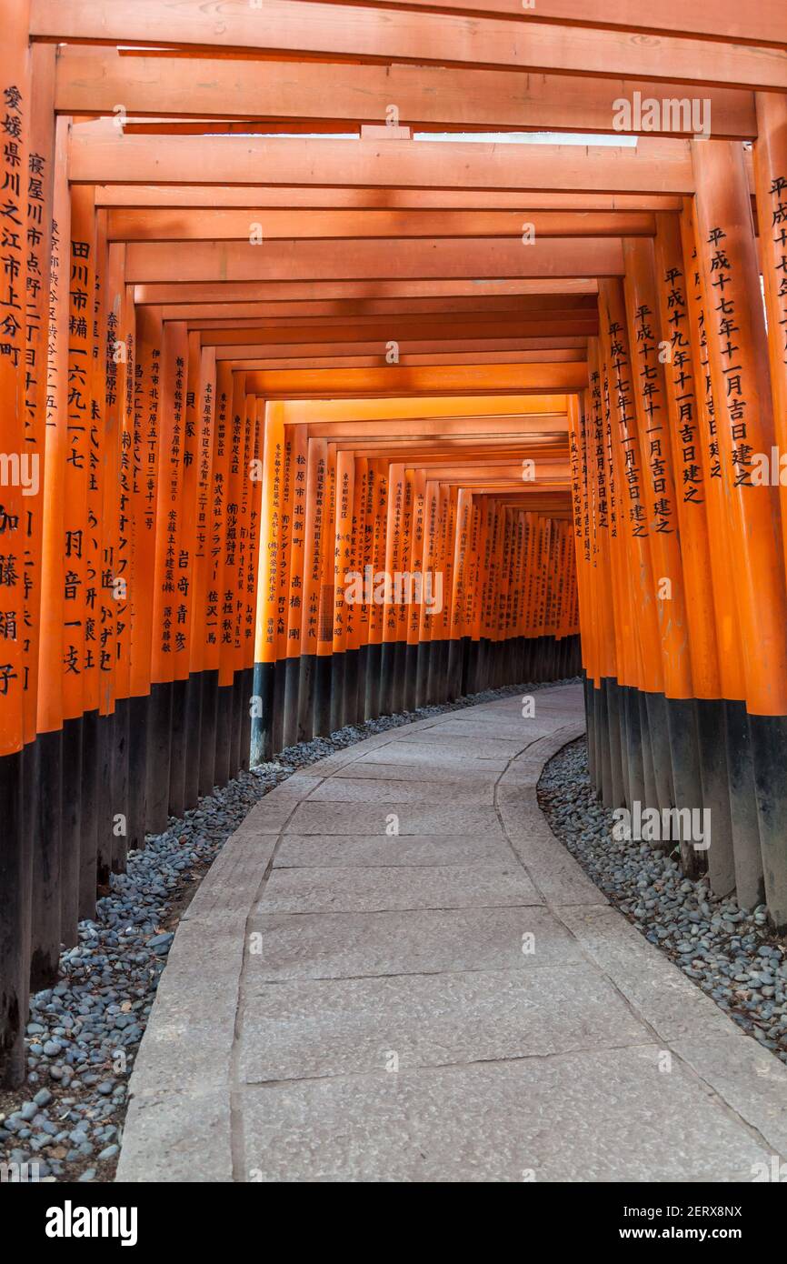A tunnel of vermillion orange Torii gates at the famous Fushimi-Inari ...