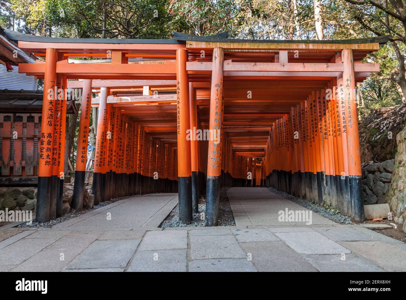A tunnel of vermillion orange Torii gates at the famous FushimiInari