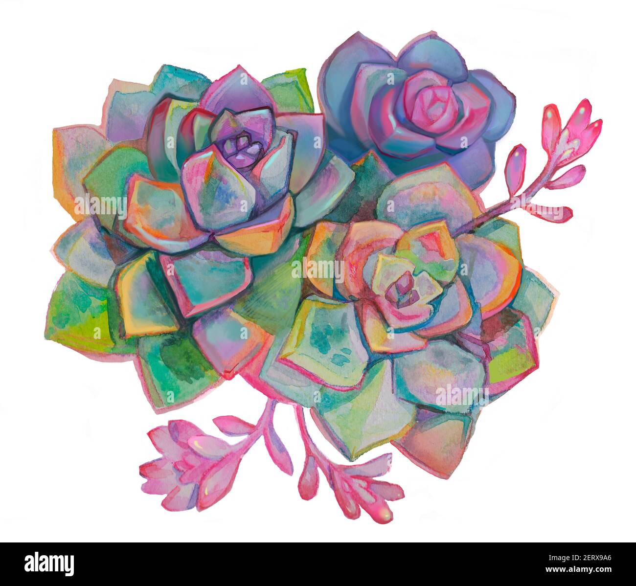 Succulent watercolor hi-res stock photography and images - Alamy