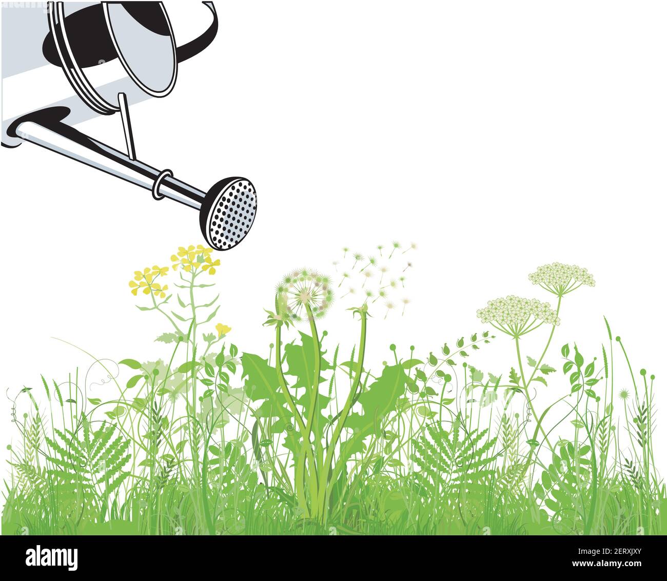 Water plants with a watering can Stock Vector