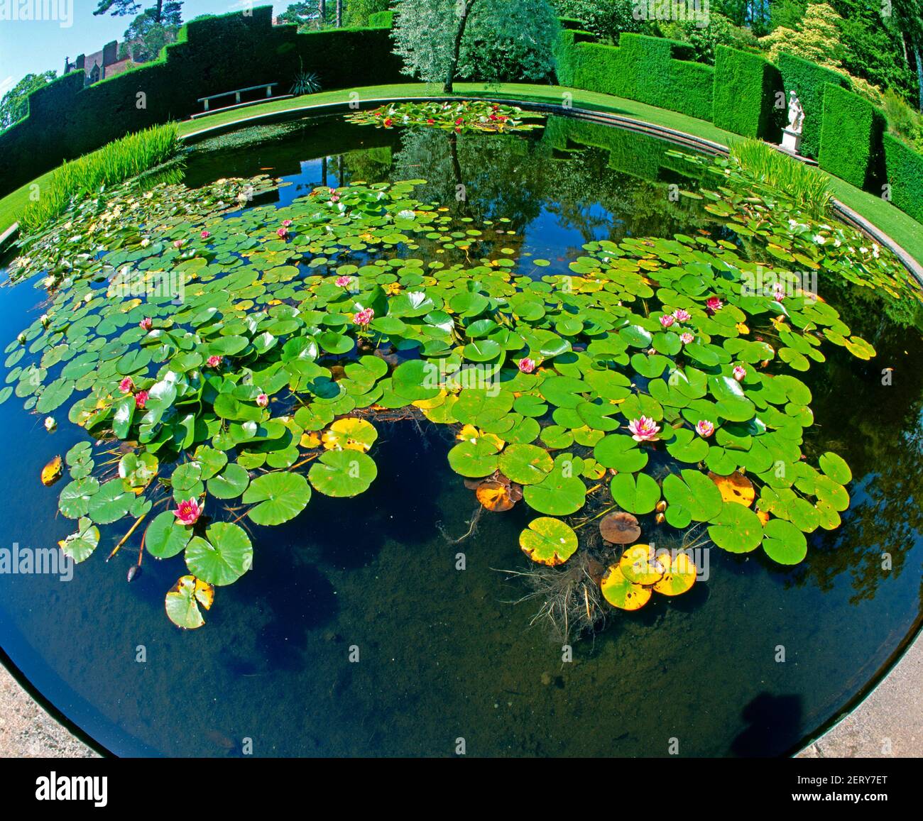 Fish eye view circular hires stock photography and images Alamy