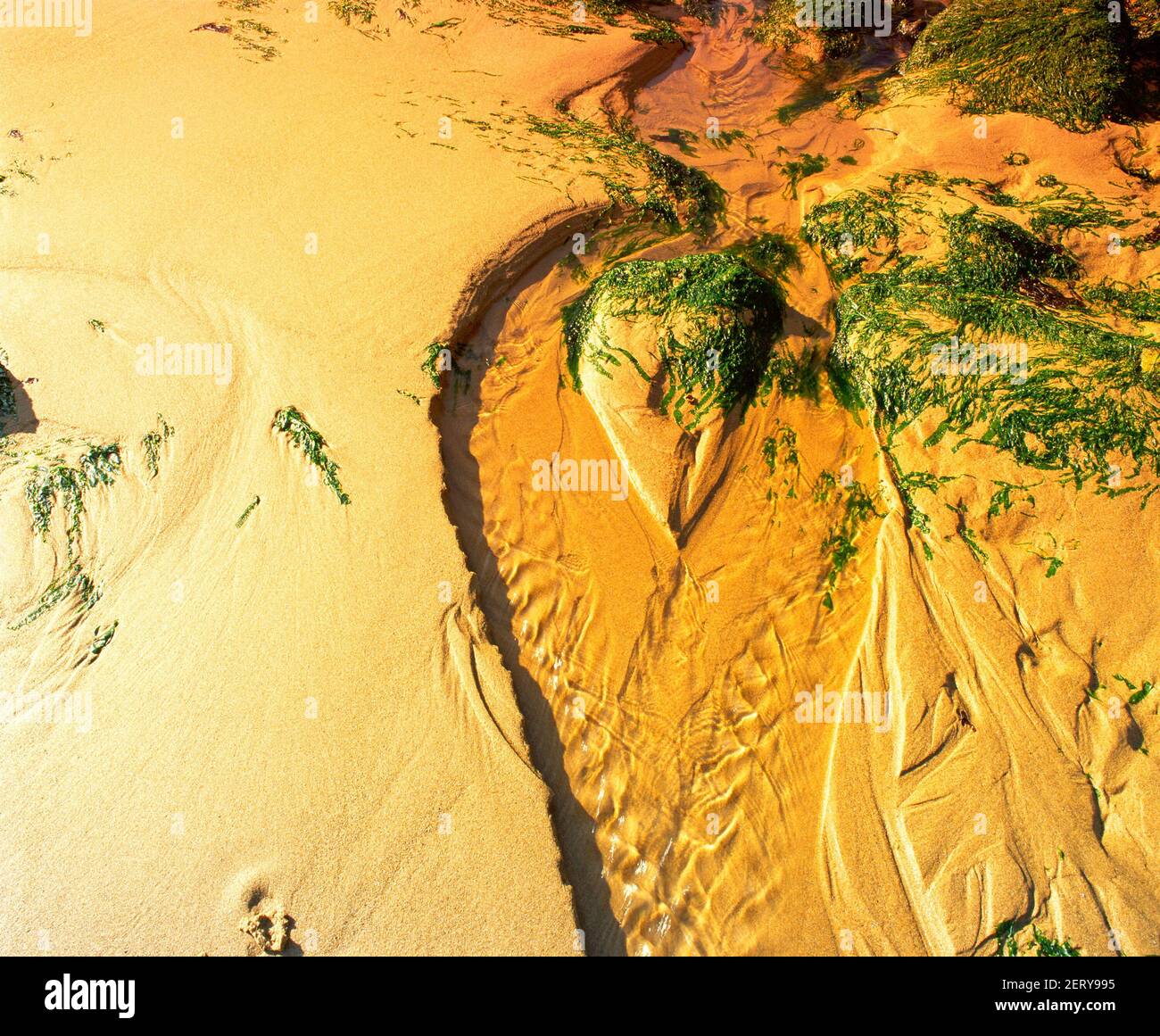 Impression formation hi res stock photography and images alamy