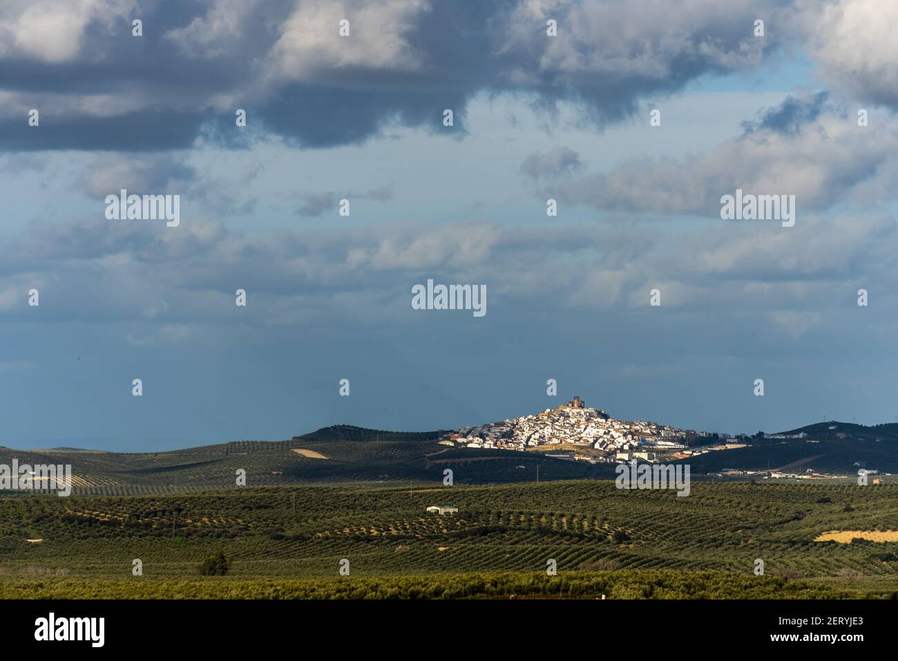 Stock photo of rural village with white houses in the middle of olive trees plantation. Espejo, Cordoba, Spain Stock Photo