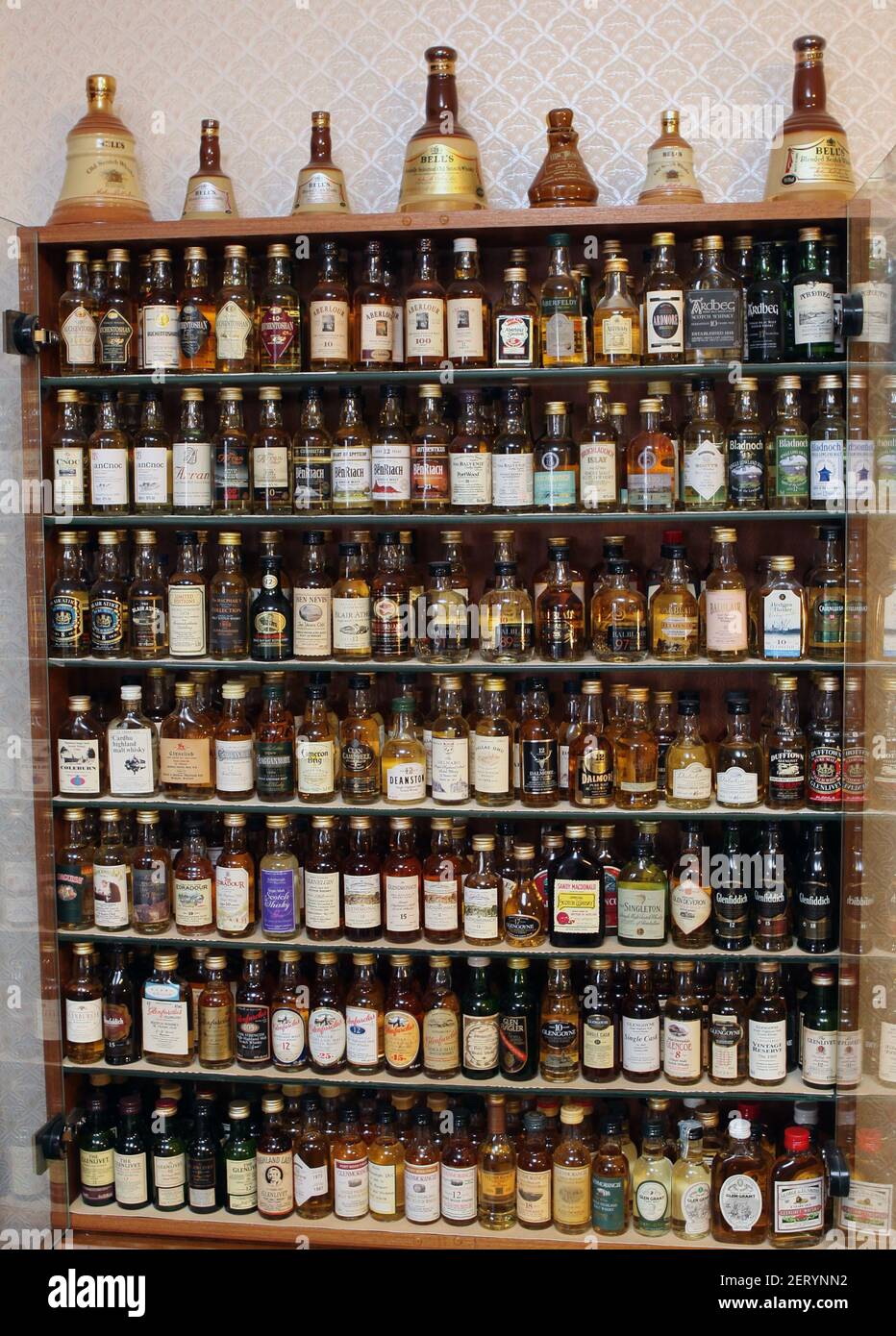 Miniature scotch whisky bottle collection on shelving racks Stock Photo Alamy