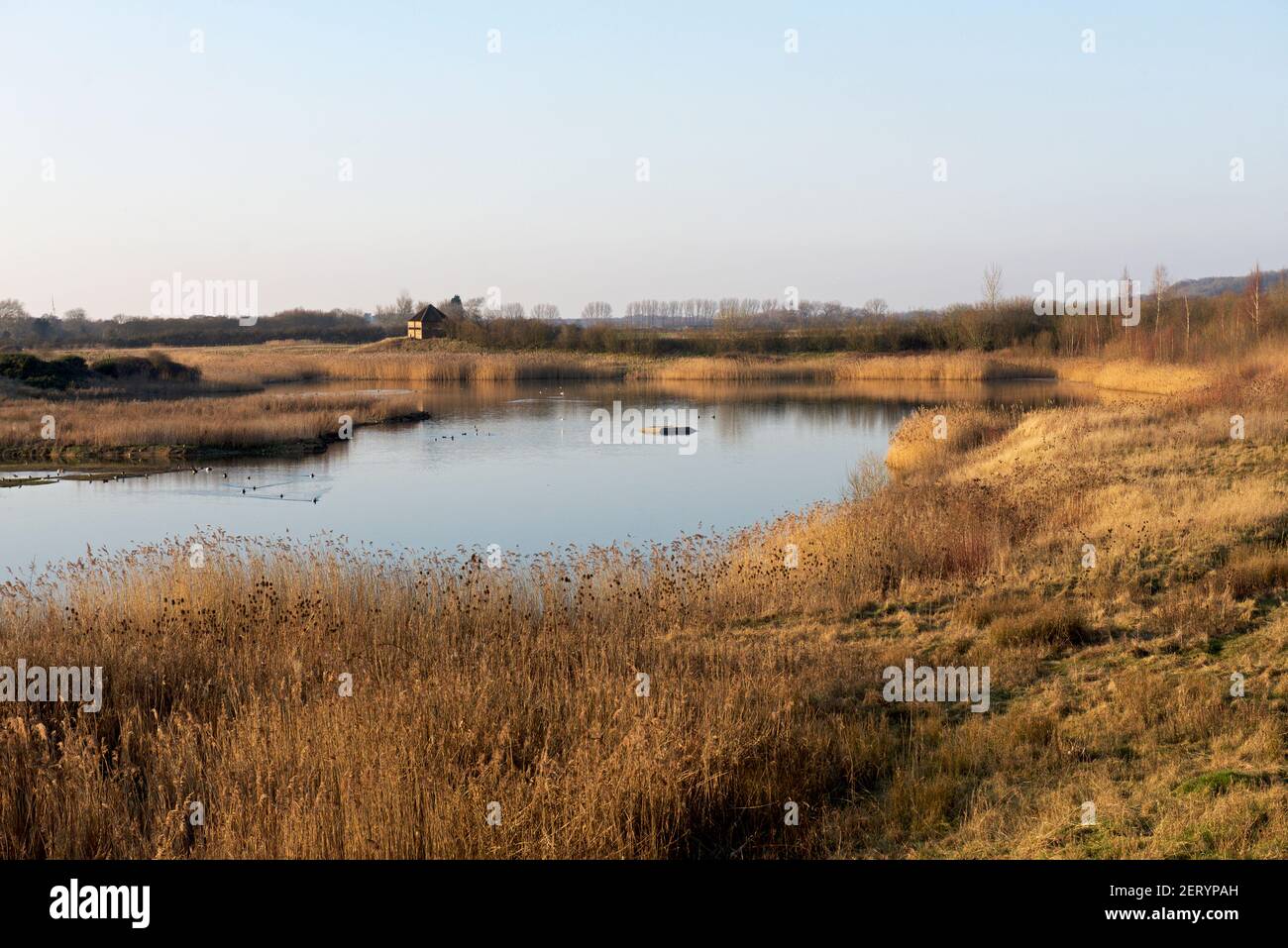 North Cave Wetlands, a nature reserve in East Yorkshire, England UK