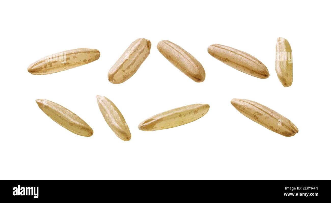 Row Rice Image A set of raw rice. Isolated on a white background Stock Photo - Alamy