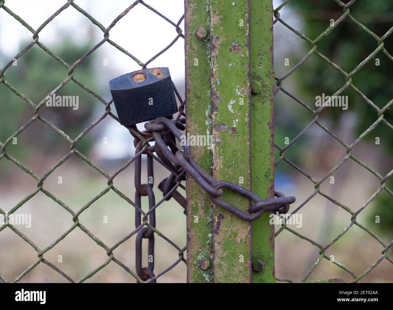 Locking Chain Construction A chain-link fence with chains and lock on a blurred background Stock ...