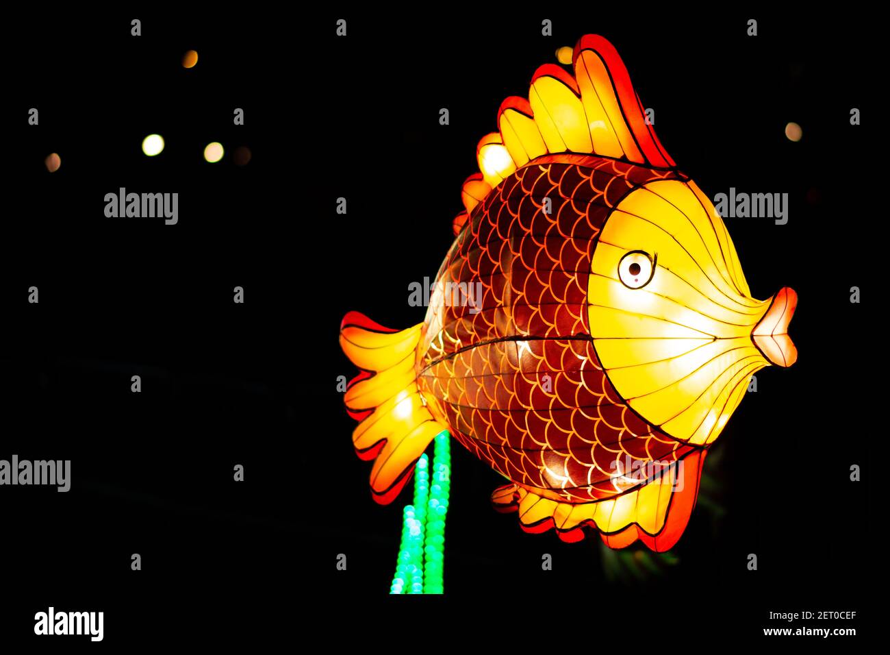 The Chinese Lantern Festival at the Limanski park in Novi Sad. The culmination of the Festival. A colorful fish lantern is floating in the air. Stock Photo