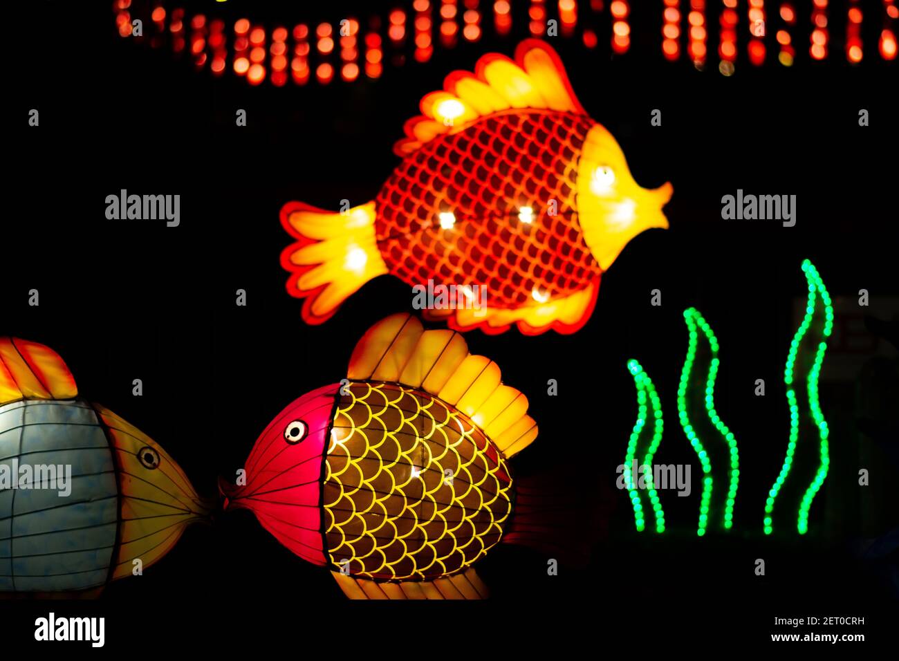 The Chinese Lantern Festival. Two fish lanterns positioned as if kissing each other, with one fish and a seaweed blurred in a background. Stock Photo