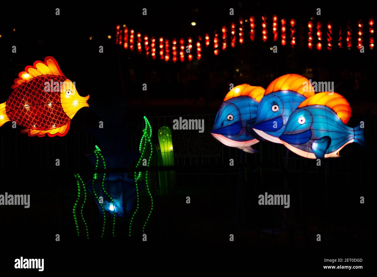 The Chinese Lantern Festival. A colorful fish lantern is swimming above the glowing seaweed. Three blue fish are in a blurry background. Stock Photo