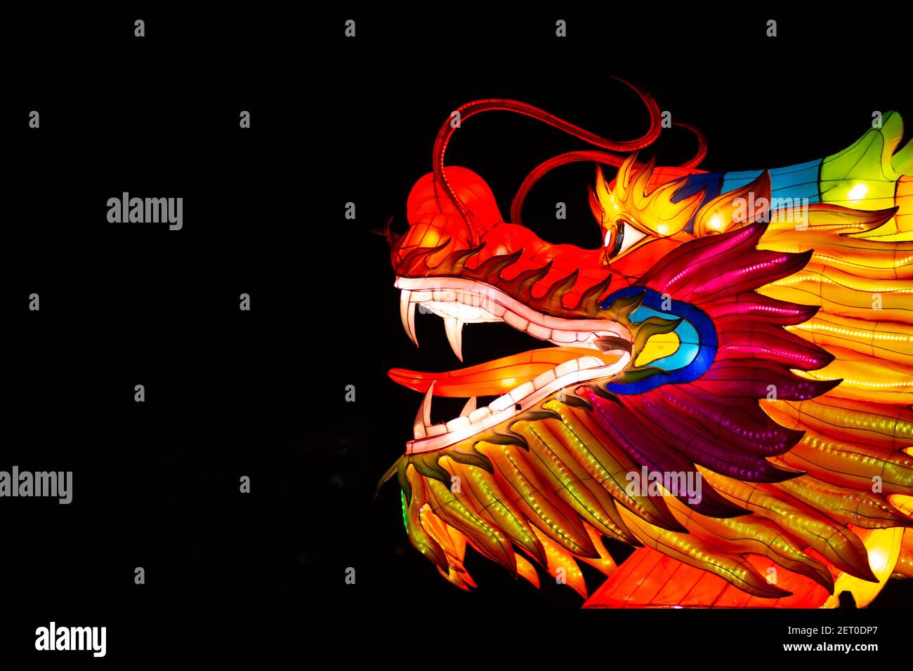 The Chinese Lantern Festival at the Limanski park in Novi Sad. A head of The Chinese dragon, also known as Loong, Long or Lung. Stock Photo