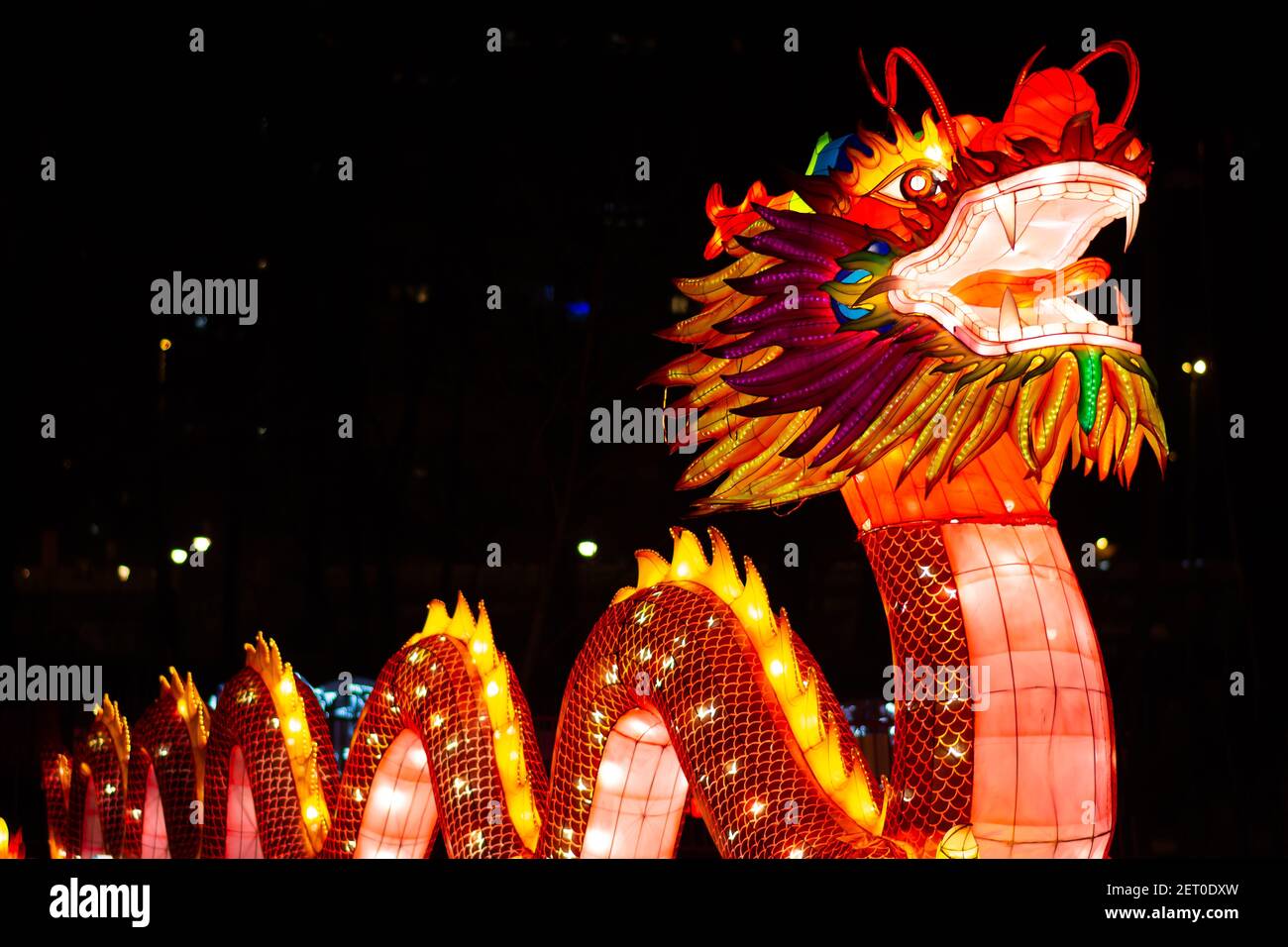 The Chinese Lantern Festival at the Limanski park in Novi Sad. The Chinese dragon with a snake-like body, also known as Loong, Long, Lung. Stock Photo