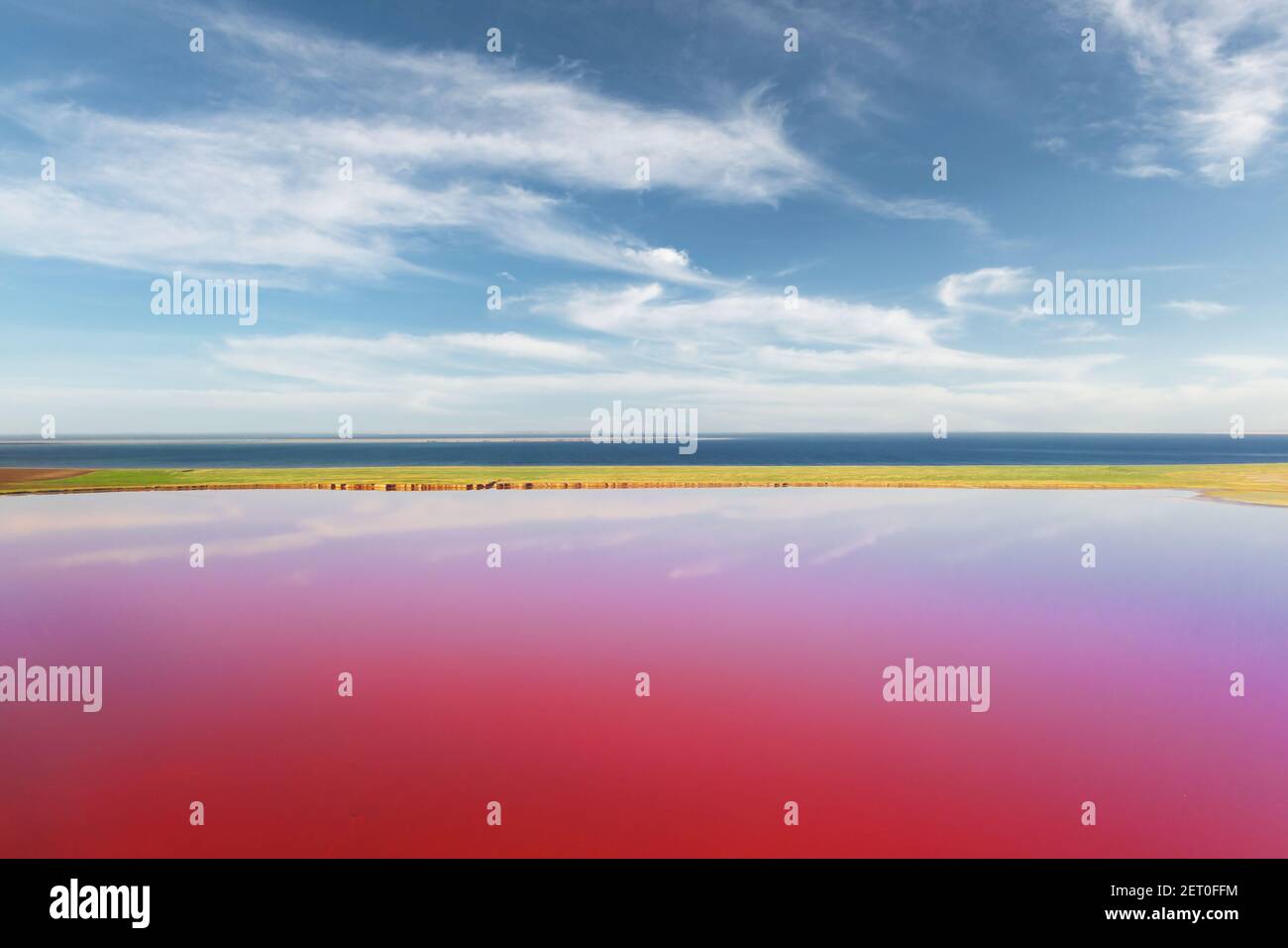 Pink lake water under blue sky with fluffy clouds in summer day. Creative color concept Stock Photo