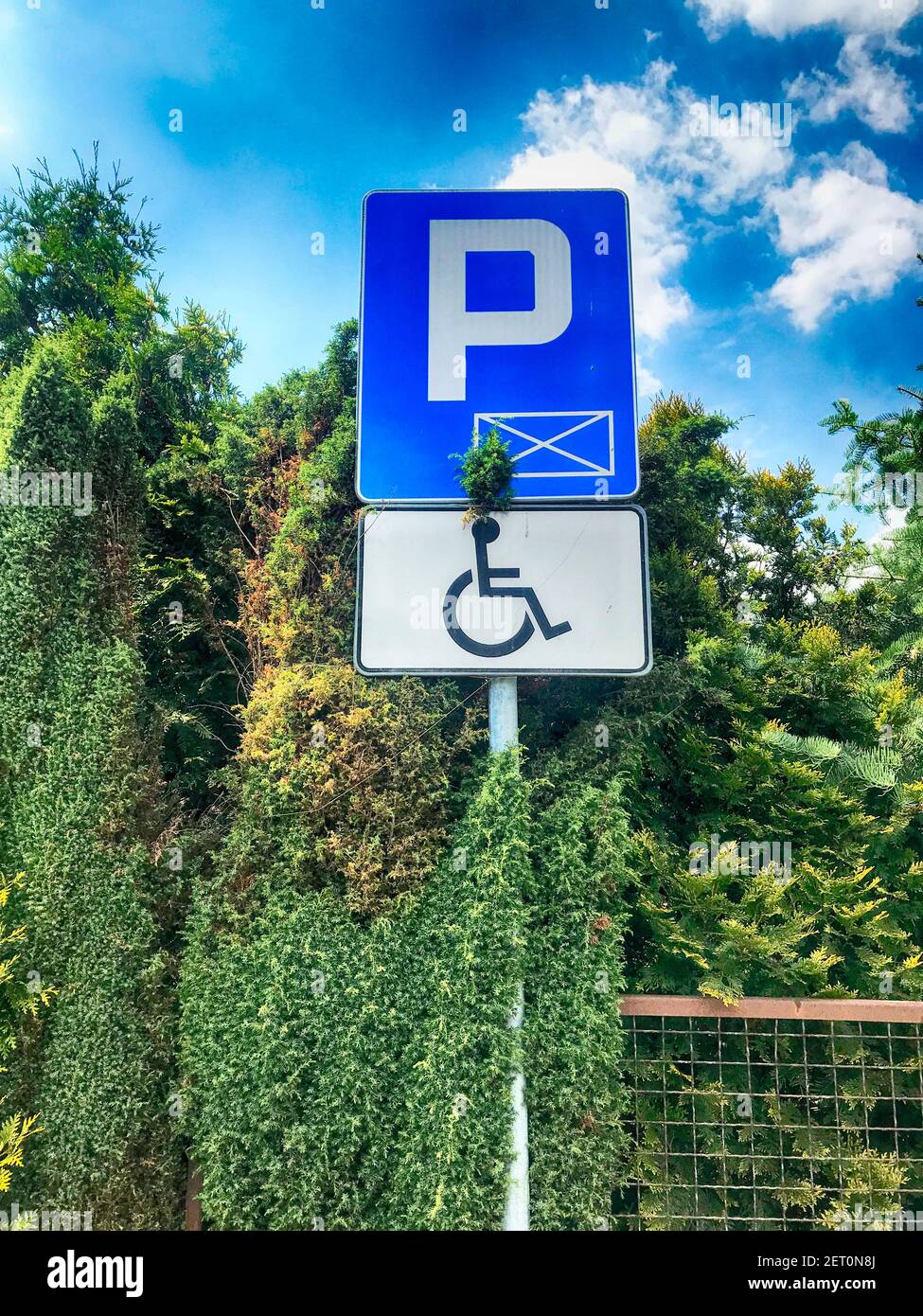 Handicapped parking sign by trees, Poland Stock Photo