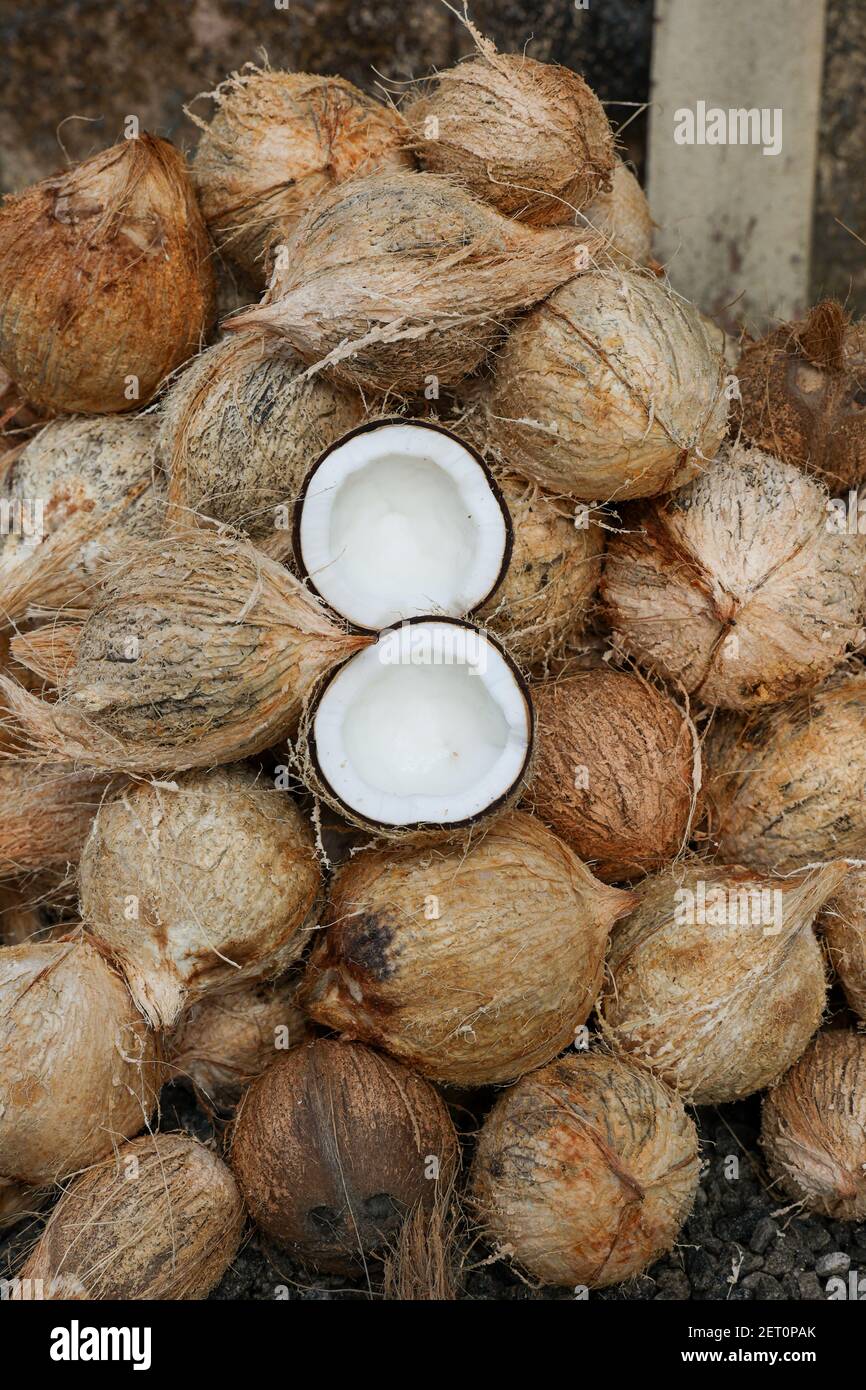 Farma gole grudi