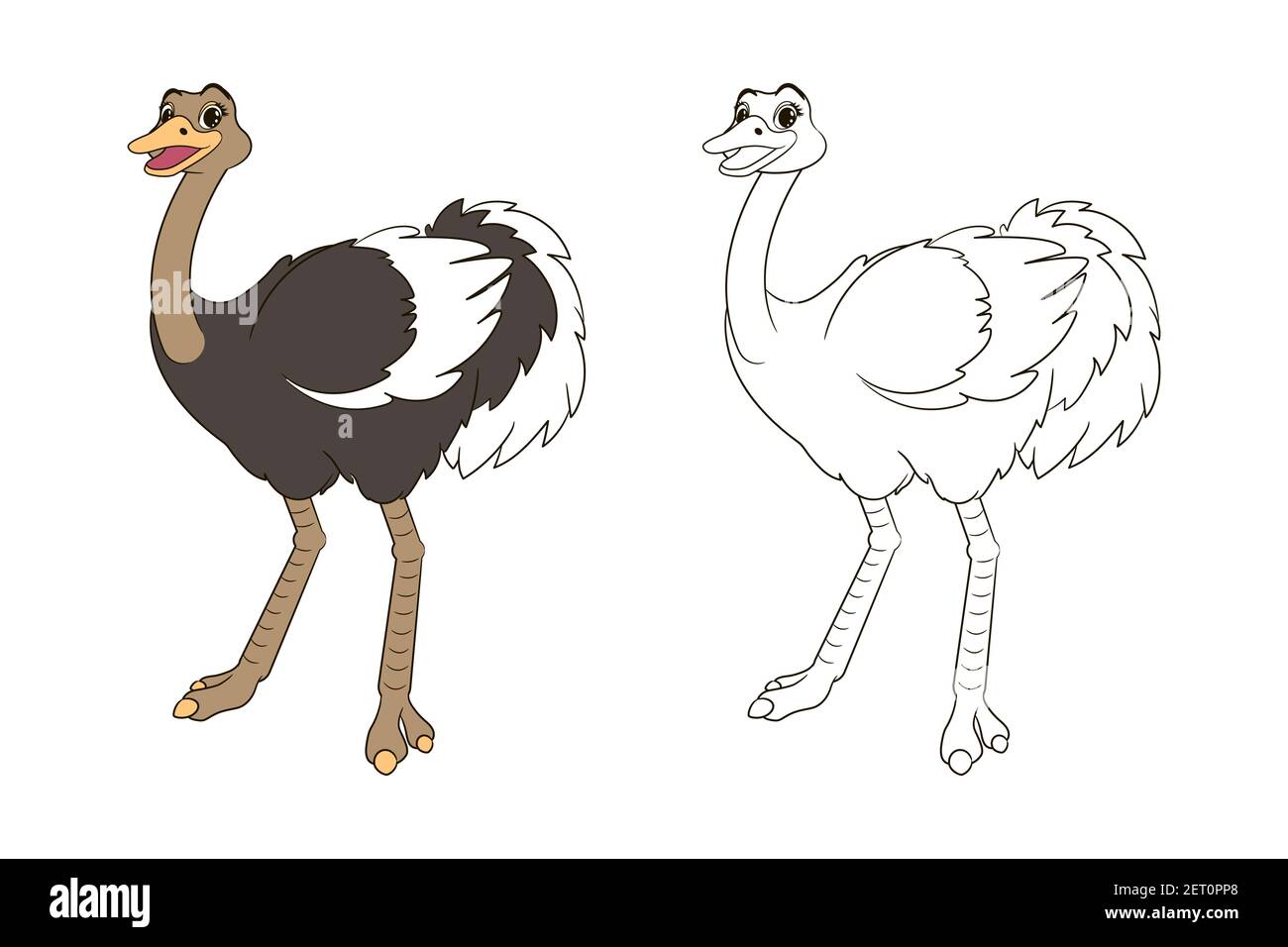 Long Legged Cute Ostrich Coloring Book For Kids Vector Isolated Line Art Illustration In Cartoon Style Stock Vector Image Art Alamy